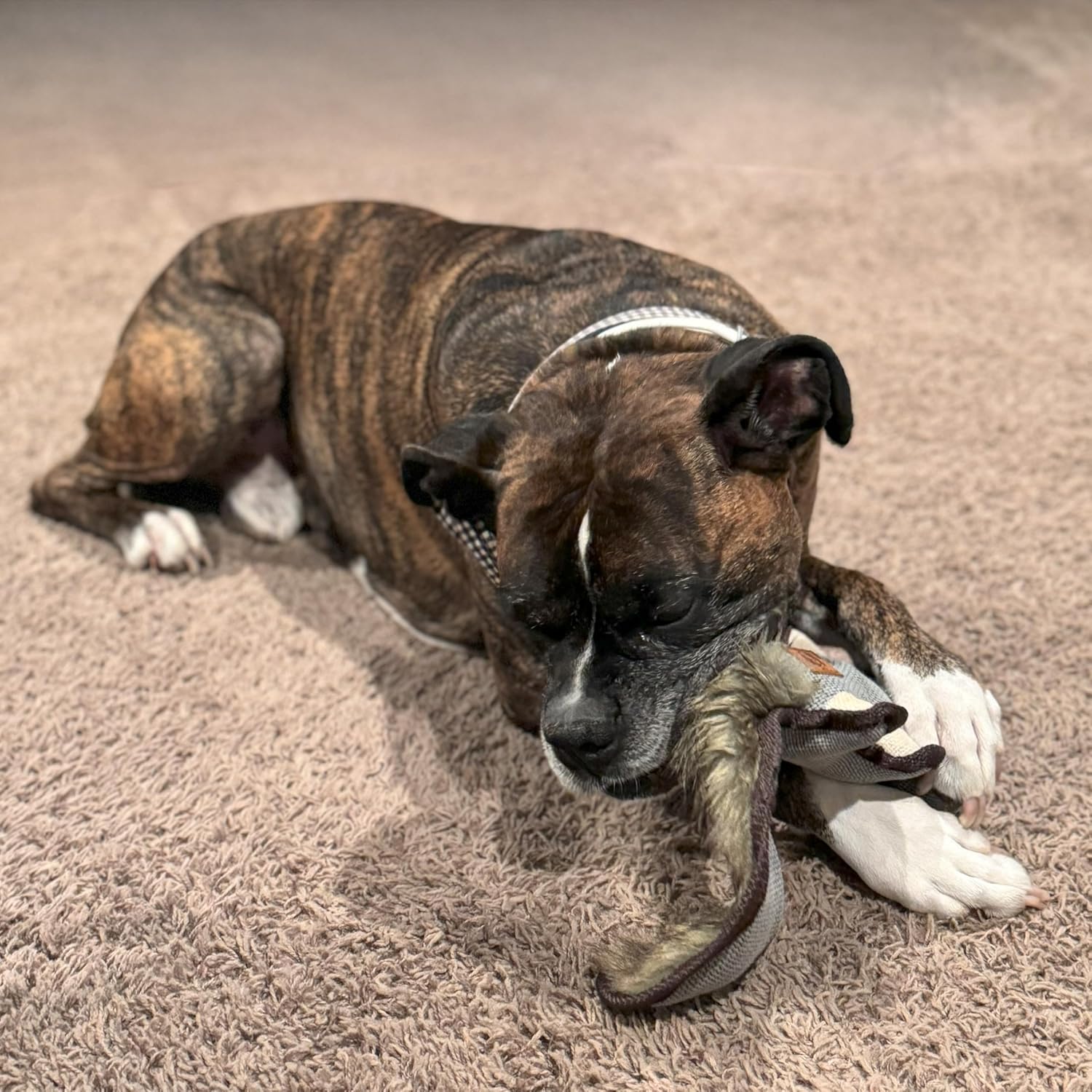 SPOT Dura-Fused Hemp Friends - Dog Toy Made with Hemp Material, Fused with Tricot for Durablity, with Furry Plush Tail and Squeaker, Great for Light to Moderate Chewers - 18" Assorted Styles - Image 10