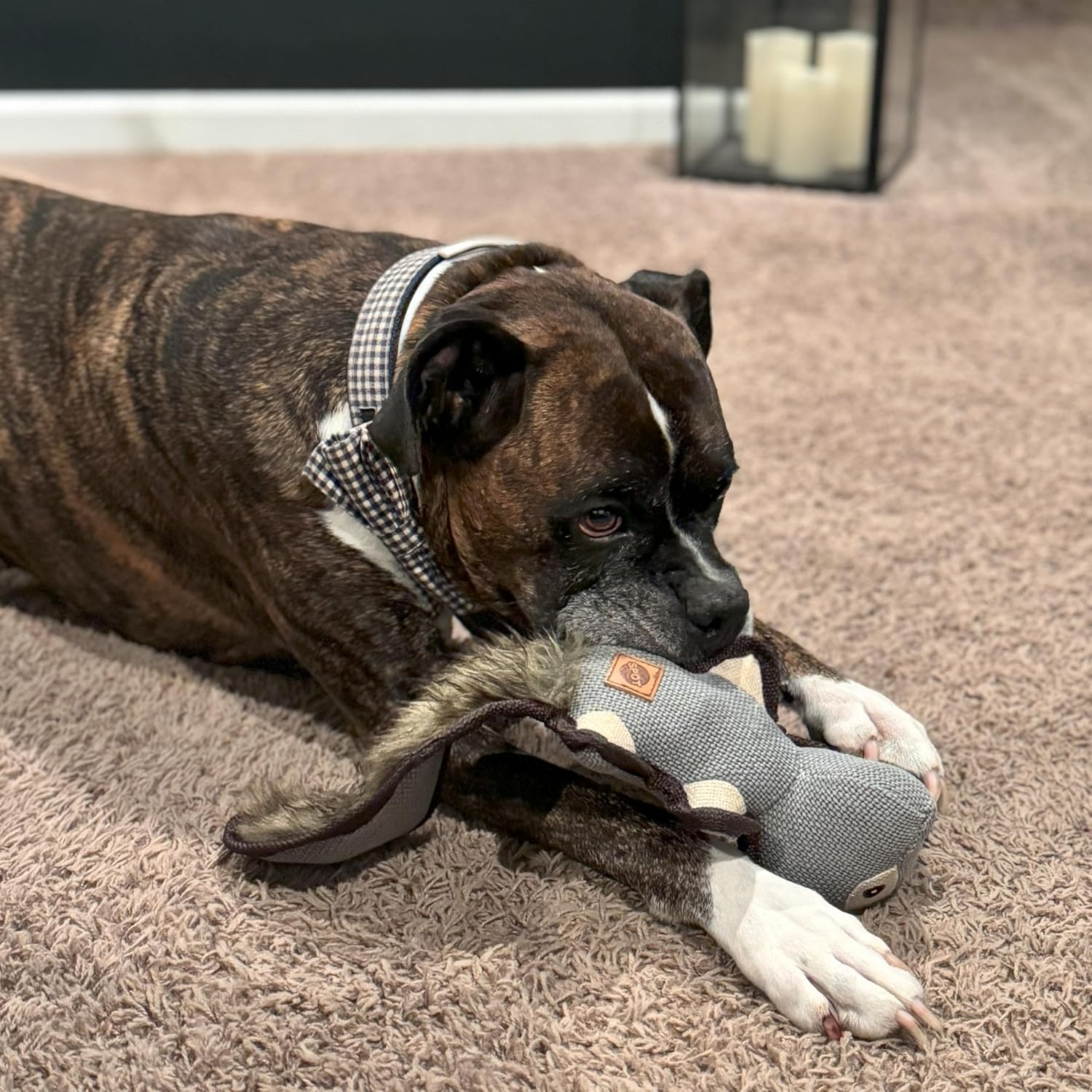 SPOT Dura-Fused Hemp Friends - Dog Toy Made with Hemp Material, Fused with Tricot for Durablity, with Furry Plush Tail and Squeaker, Great for Light to Moderate Chewers - 18" Assorted Styles - Image 6