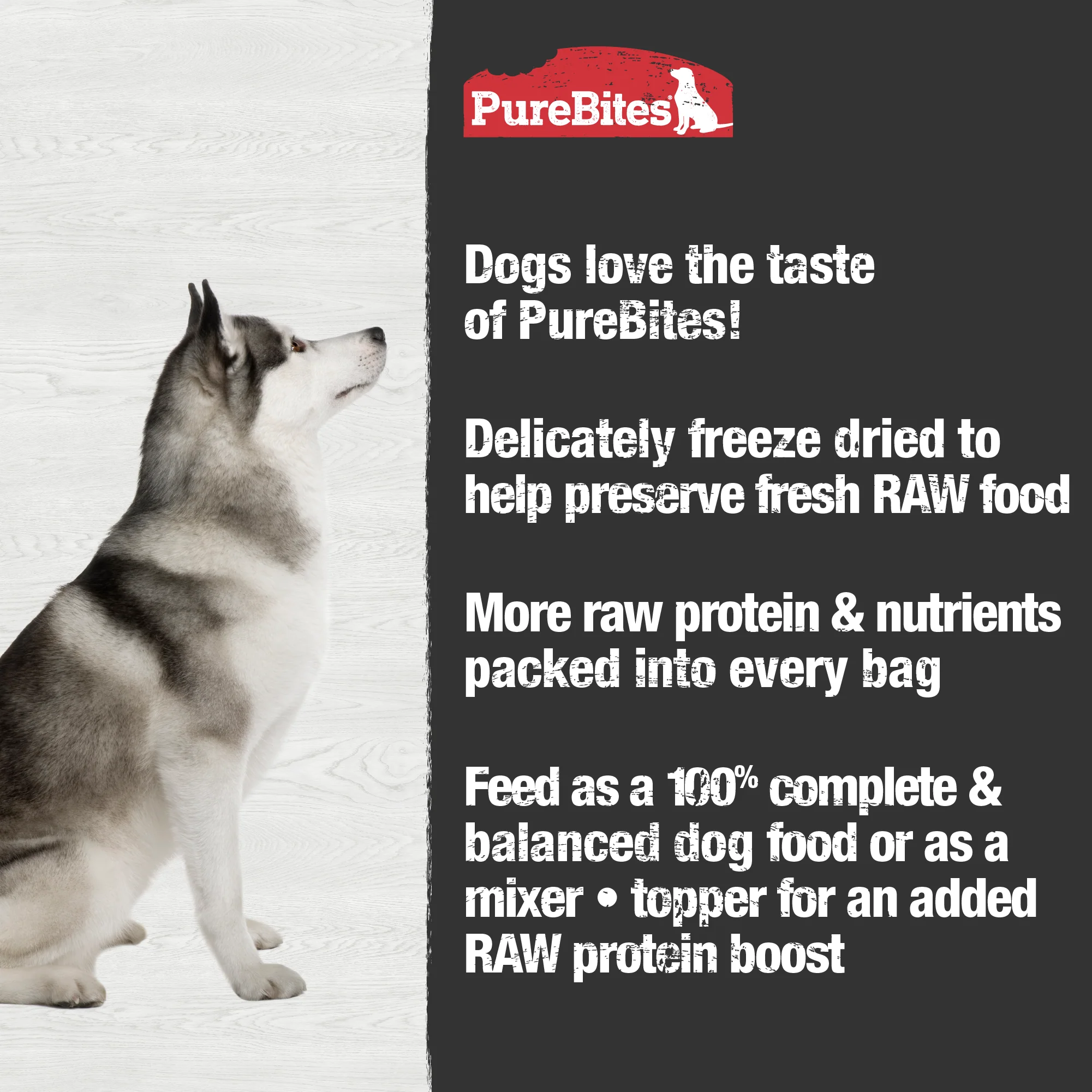 Dog Food • Topper, Chicken Recipe - Image 4