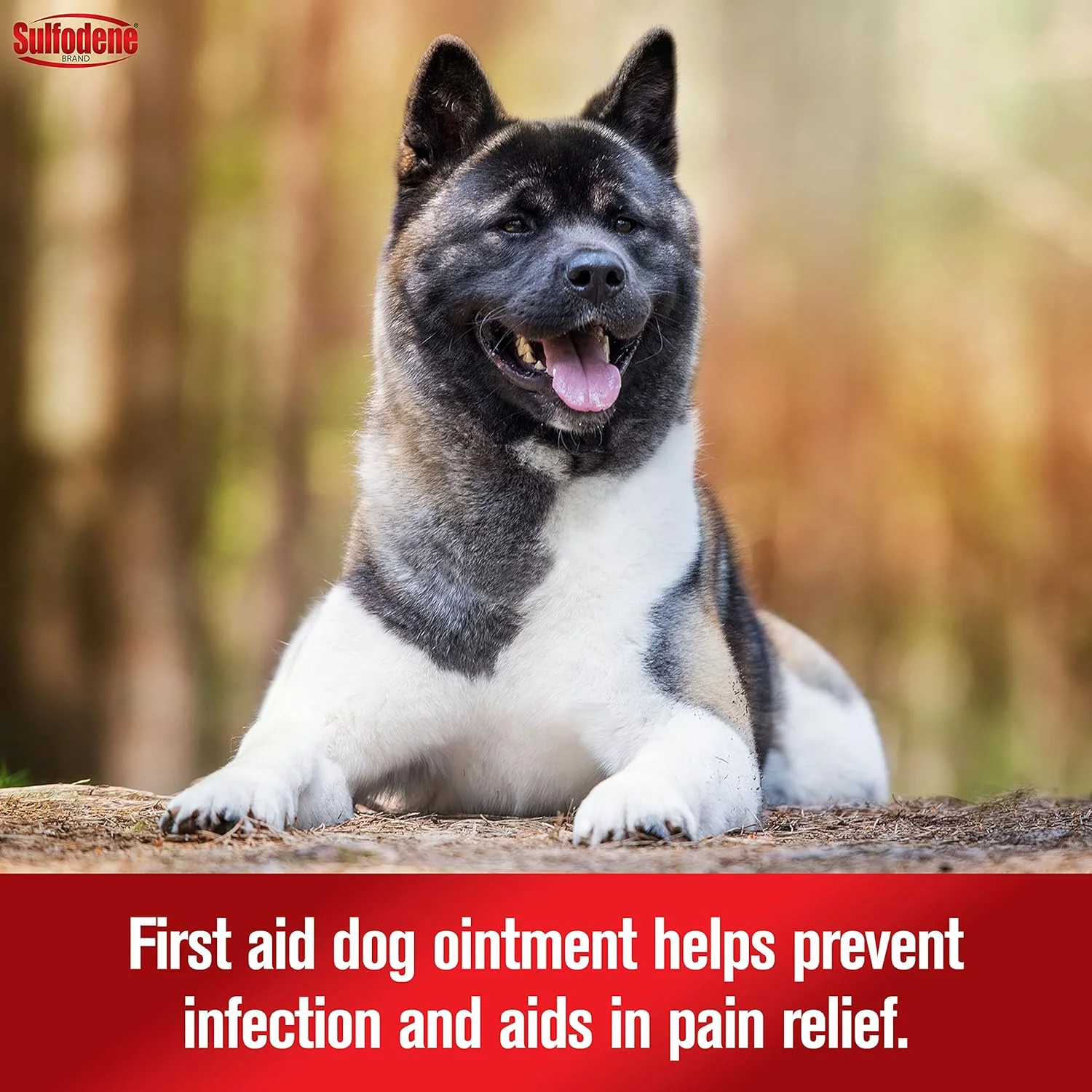 Dog Wound Care 3-Way Ointment, Relieves Pain & Prevents Infection For Dog Cuts, Scrapes, Bites and Injuries, 2 Ounce) - Image 3