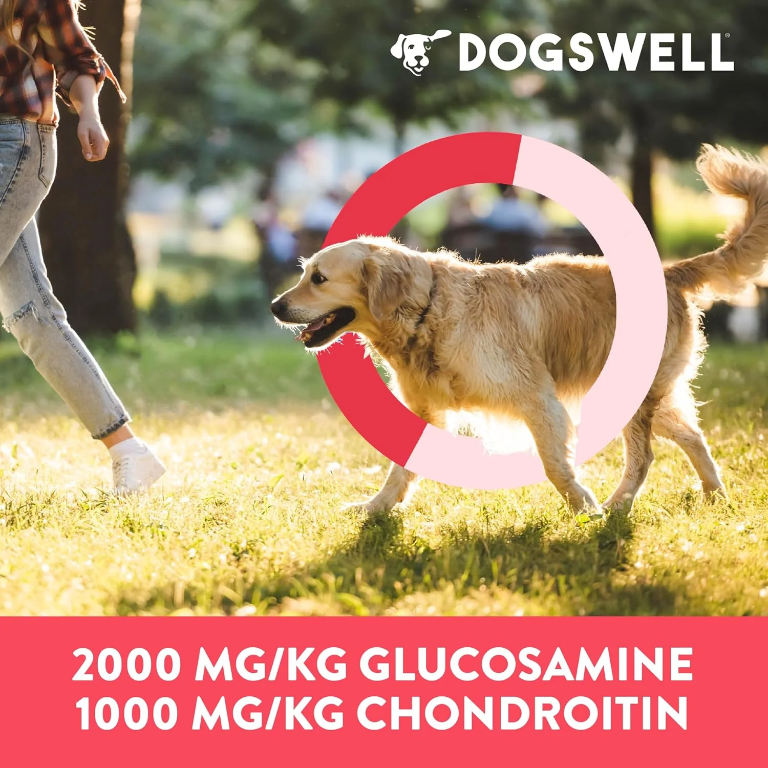 DOGSWELL Hip & Joint Dog Treats 100% Meaty, Grain Free, Glucosamine Chondroitin & Omega 3, Duck Soft Strips 10 oz - Image 6