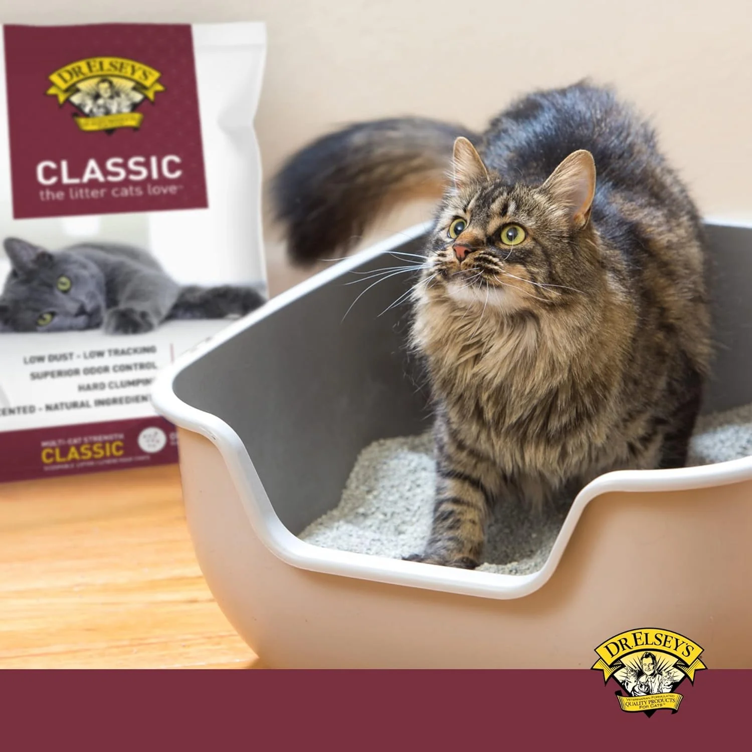 Precious Cat Classic Premium Clumping Cat Litter - Image 4