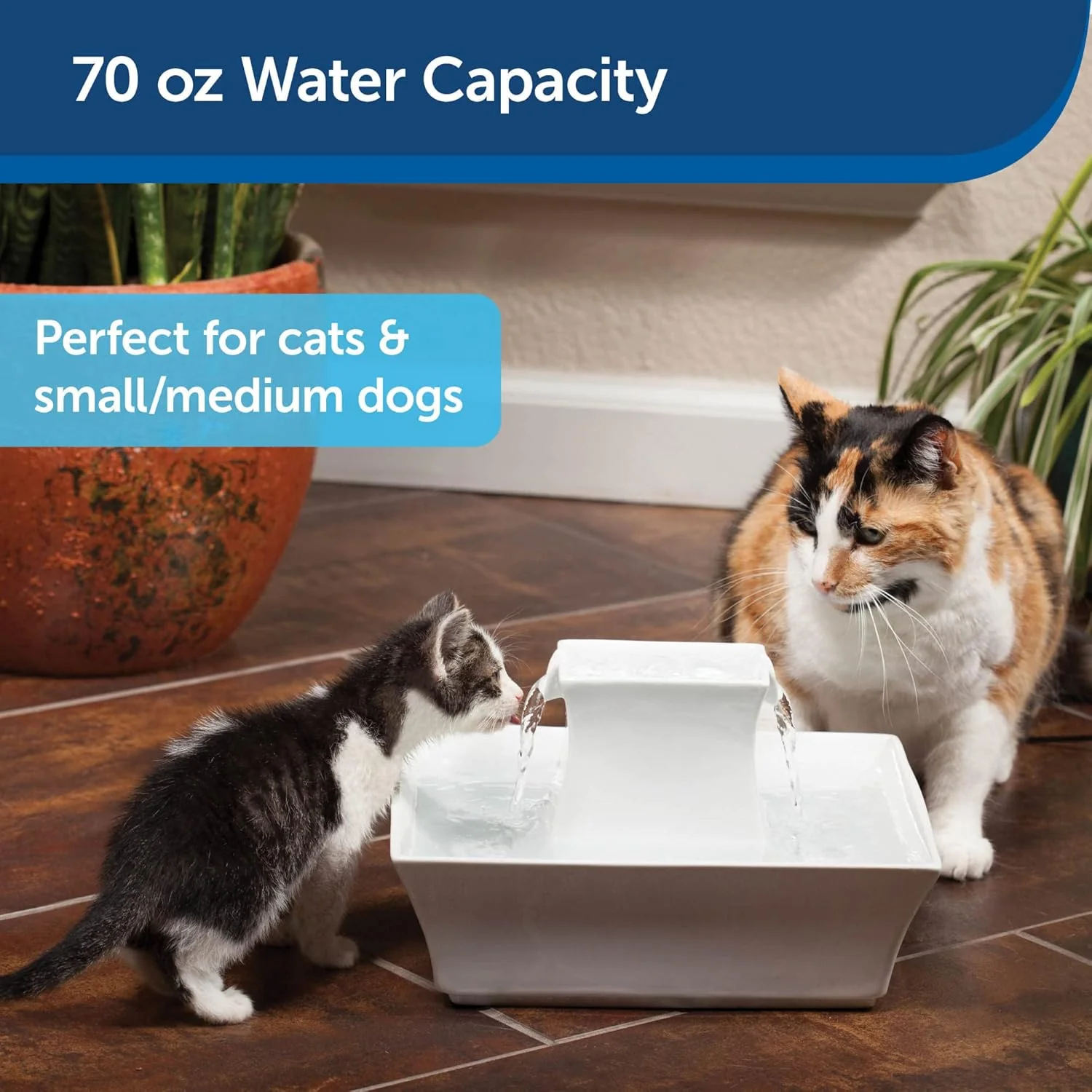 Drinkwell - PetSafe Drinkwell Pagoda Ceramic Cat & Dog Water Fountain, 70oz Capacity, Encourages Hydration, Open Bowl Design, White - Image 3