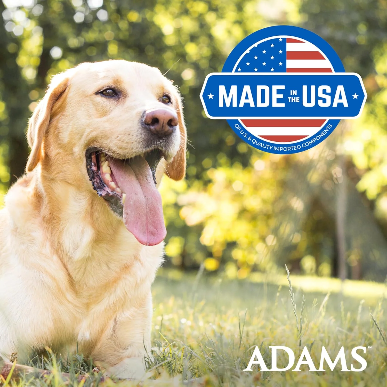 ADAMS Ear Mite Treatment – 0.5 fl oz - Image 10