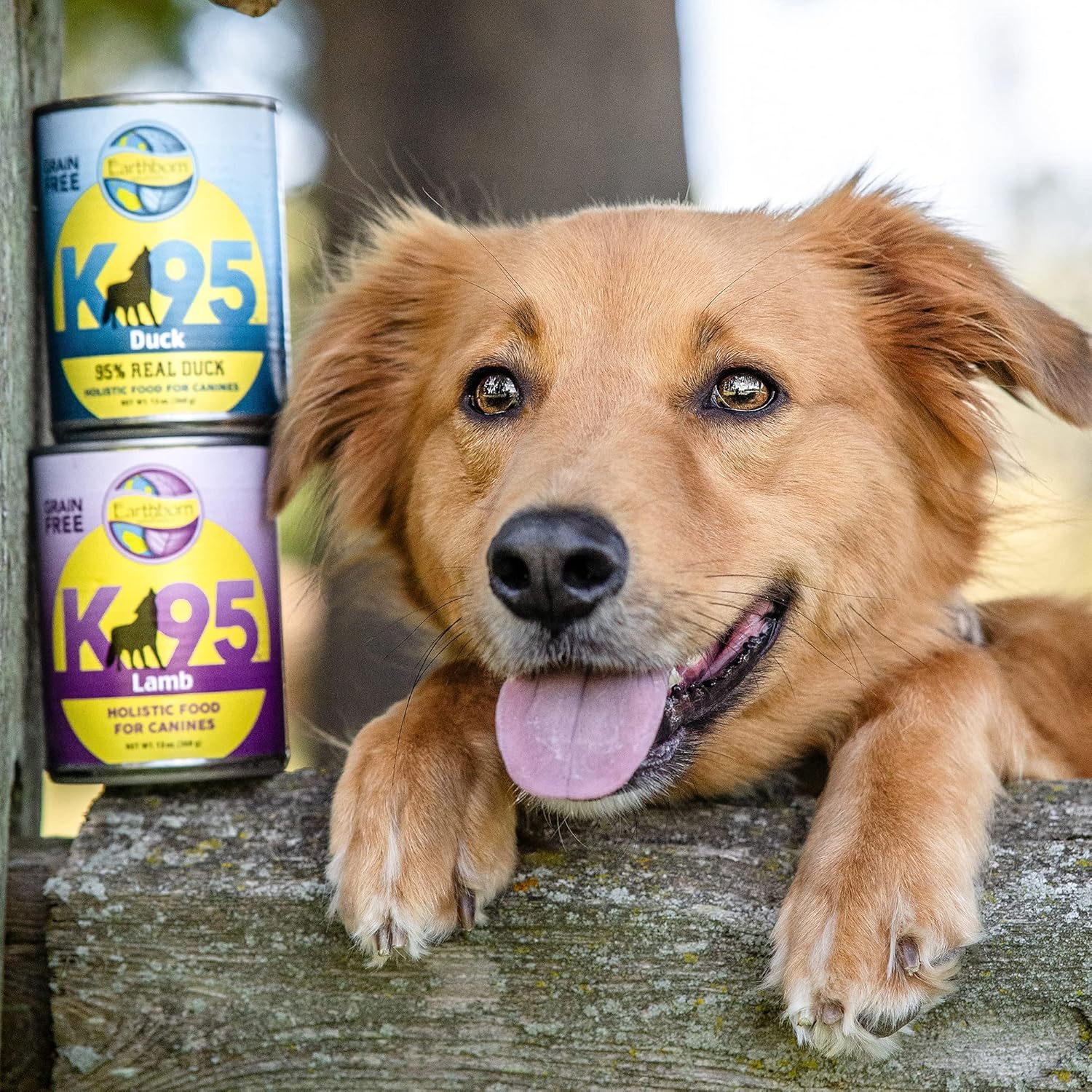 Earthborn Holistic K95 Lamb Recipe Grain-Free Canned Moist Dog Food 12 / 13 oz Can - Image 3