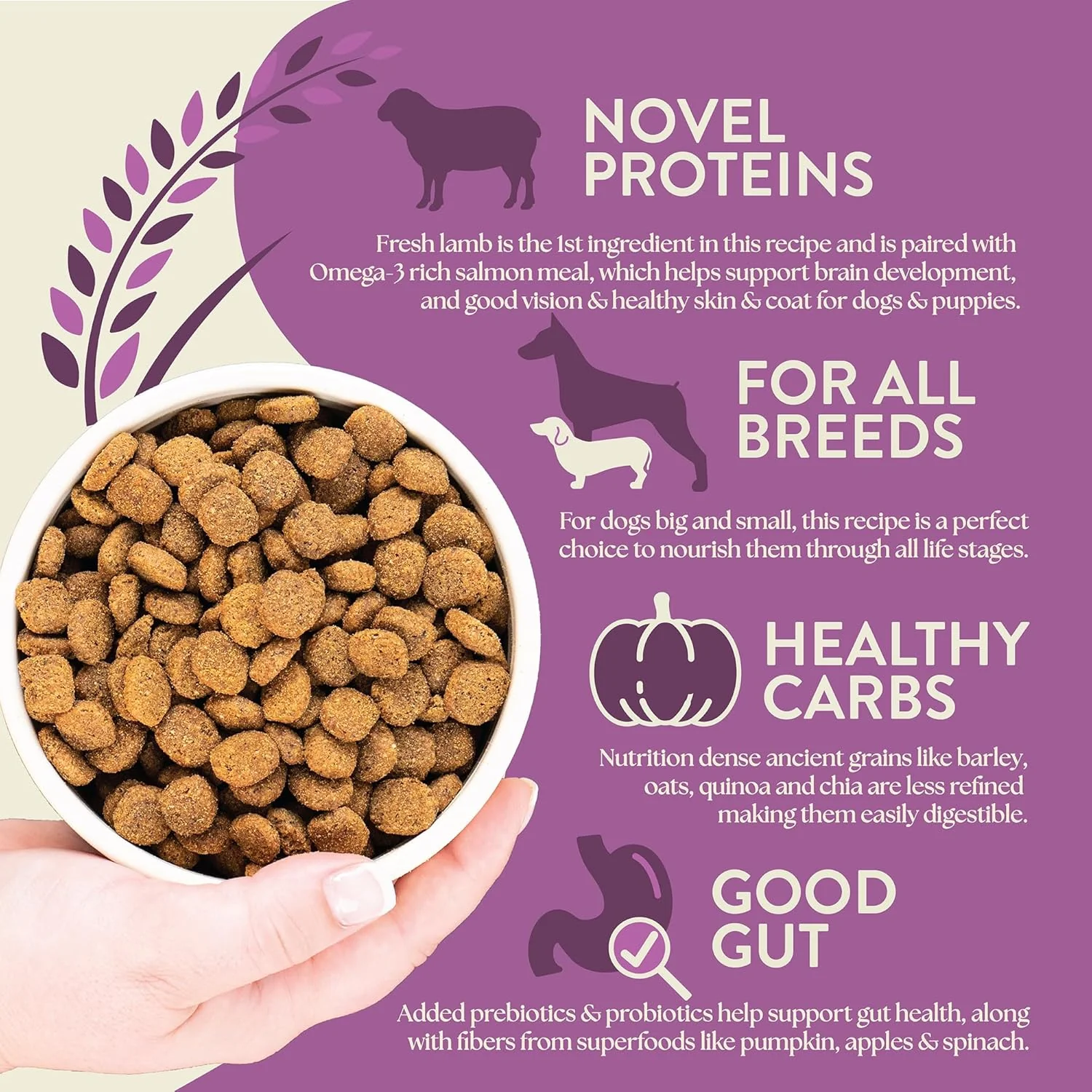 Earthborn Holistic Unrefined Roasted Lamb Recipe with Ancient Grains & Superfoods Dry Food for Dogs & Puppies - Image 4
