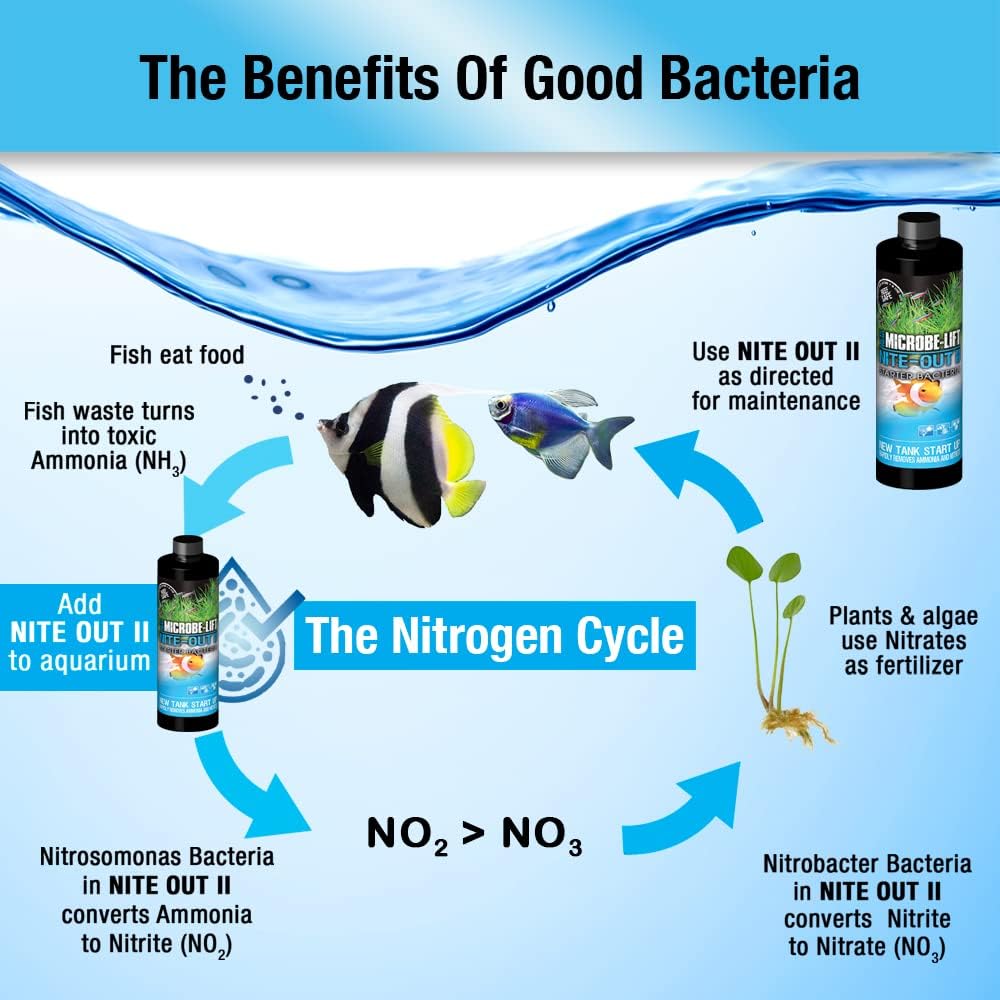 Ecological Labs MICROBE-LIFT NITEH16 Nite-Out II Aquarium and Fish Tank Cleaner for Rapid Ammonia and Nitrite Reduction, Freshwater and Saltwater, 16 Ounces - Image 5