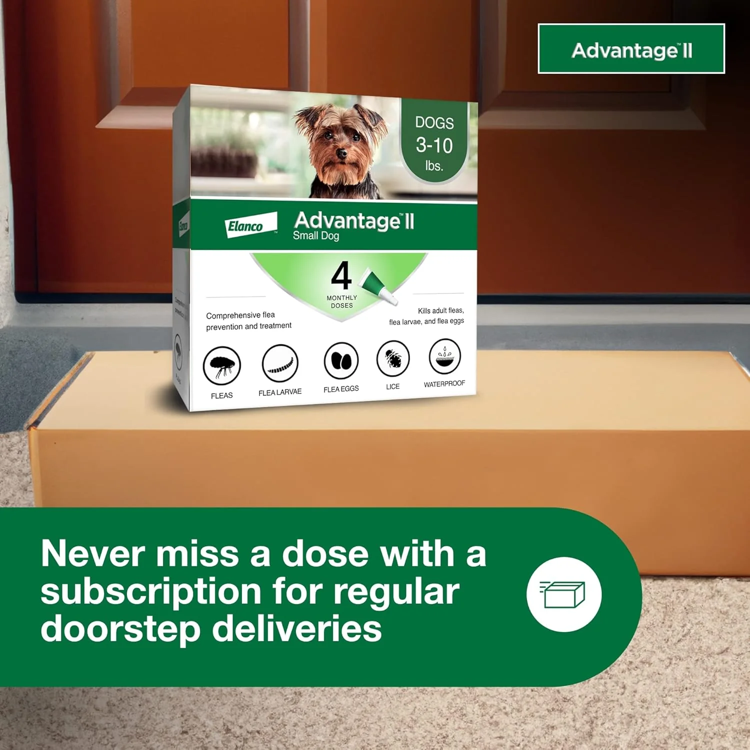 Elanco Advantage II Dog Vet-Recommended Flea Treatment & Prevention | 4-Month Supply - Image 8