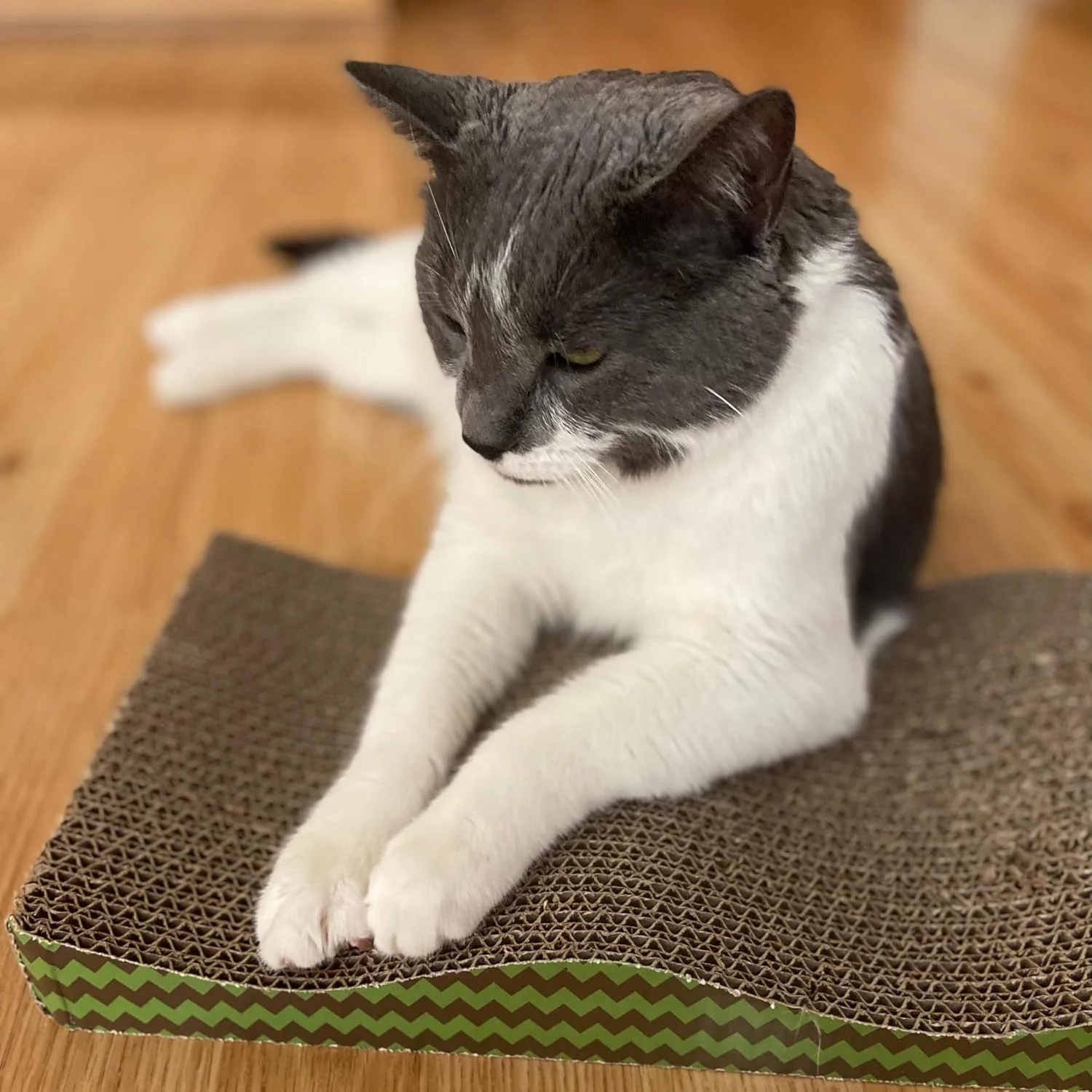 SPOT Wave Cat Scratcher - Corrugated Scratching Board with Wavy Design, Made from 100% Eco-Friendly & Recyclable Cardboard, Encourages Good Scratching Behavior - 17" Board with Catnip Pouch Included - Image 6
