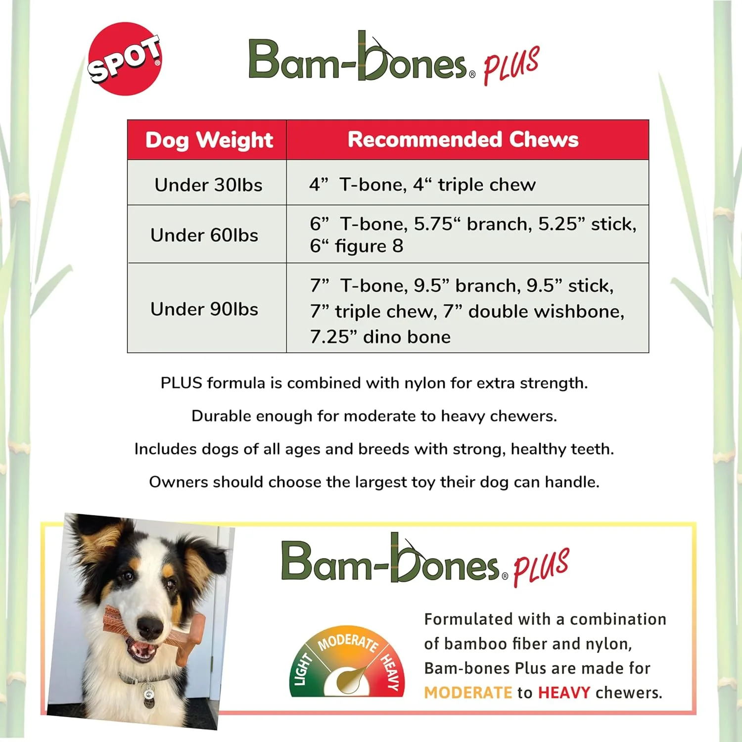 SPOT Bam-Bones Plus T Bone - Bamboo Fiber & Nylon, Durable Long Lasting Dog Chew for Aggressive Chewers – Great Toy forAdult Dogs & Teething Puppies Under 30lbs, Non-Splintering, Chicken Flavor - Image 2