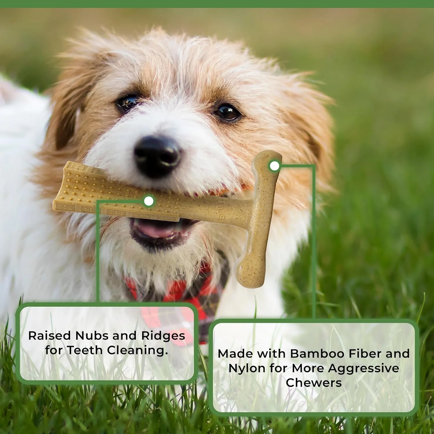 SPOT Bam-Bones Plus T Bone - Bamboo Fiber & Nylon, Durable Long Lasting Dog Chew for Aggressive Chewers – Great Toy forAdult Dogs & Teething Puppies Under 30lbs, Non-Splintering, Chicken Flavor - Image 5