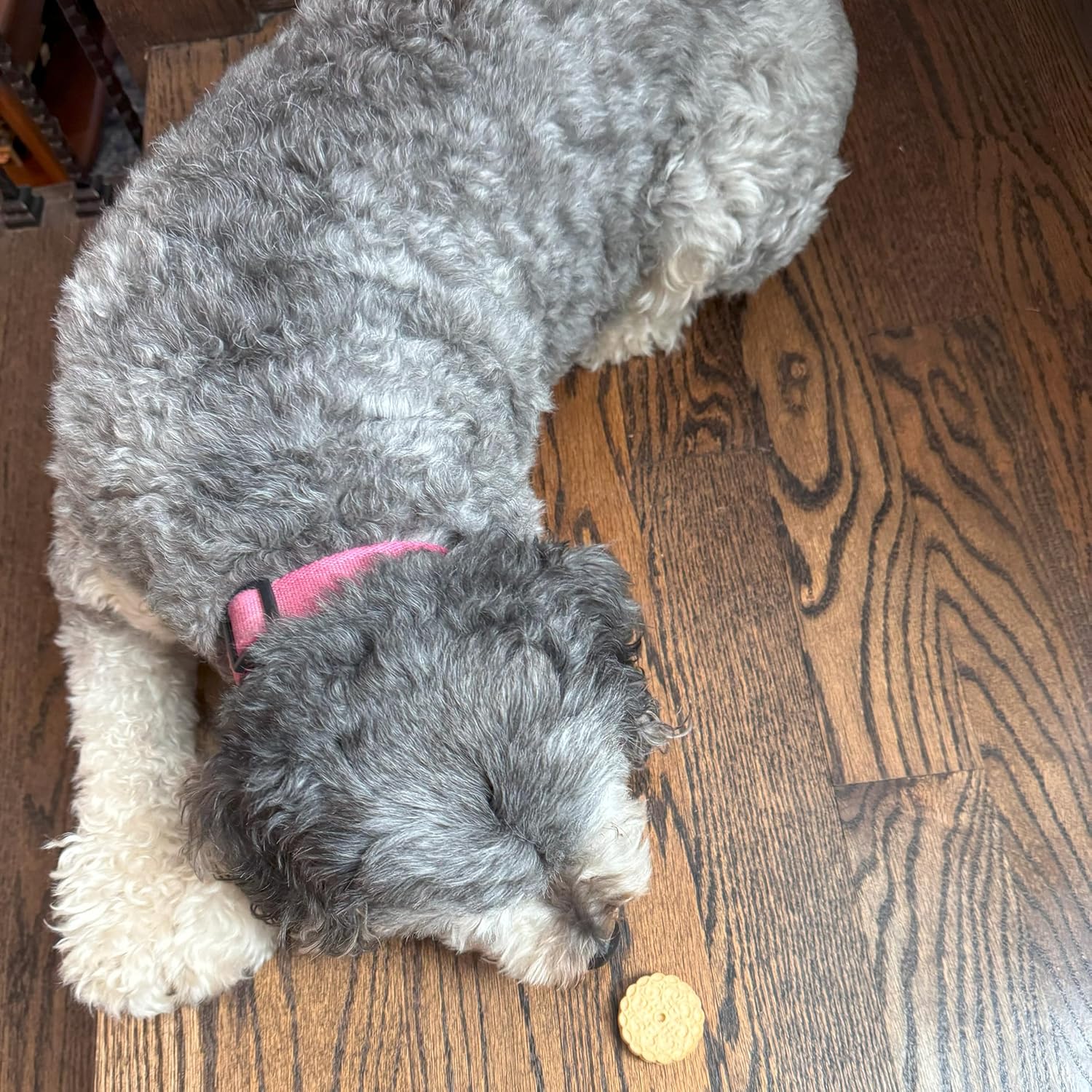 Exclusively Dog Carob & Vanilla Sandwich Cremes Cookies - All Natural Dog Treats, No Animal Byproducts, Baked in The USA, Ideal for Medium to Large Dogs - Vanilla and Carob Flavor, 8oz Bag - Image 3