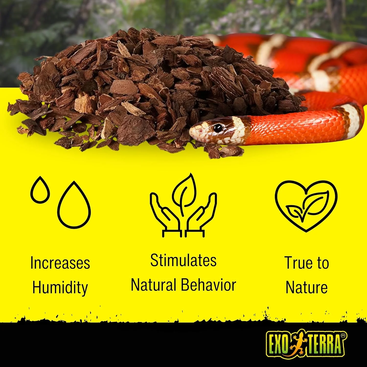 Exo Terra Forest Bark Natural Terrarium Substrate, 8 Quarts, PT2752 | 100% Natural Fir Bark for Reptiles | Hygroscopic Moisture Control | Ideal for Humidity-Loving Reptile | Encourage Digging Behavior (3pk) - Image 2