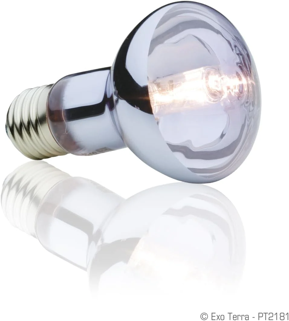 Exo Terra Sun Glo Halogen Basking Spot Lamp – Reptile Light Bulb, Broad Spectrum Daylight, Enhances Coloration, Promotes Health - Image 3