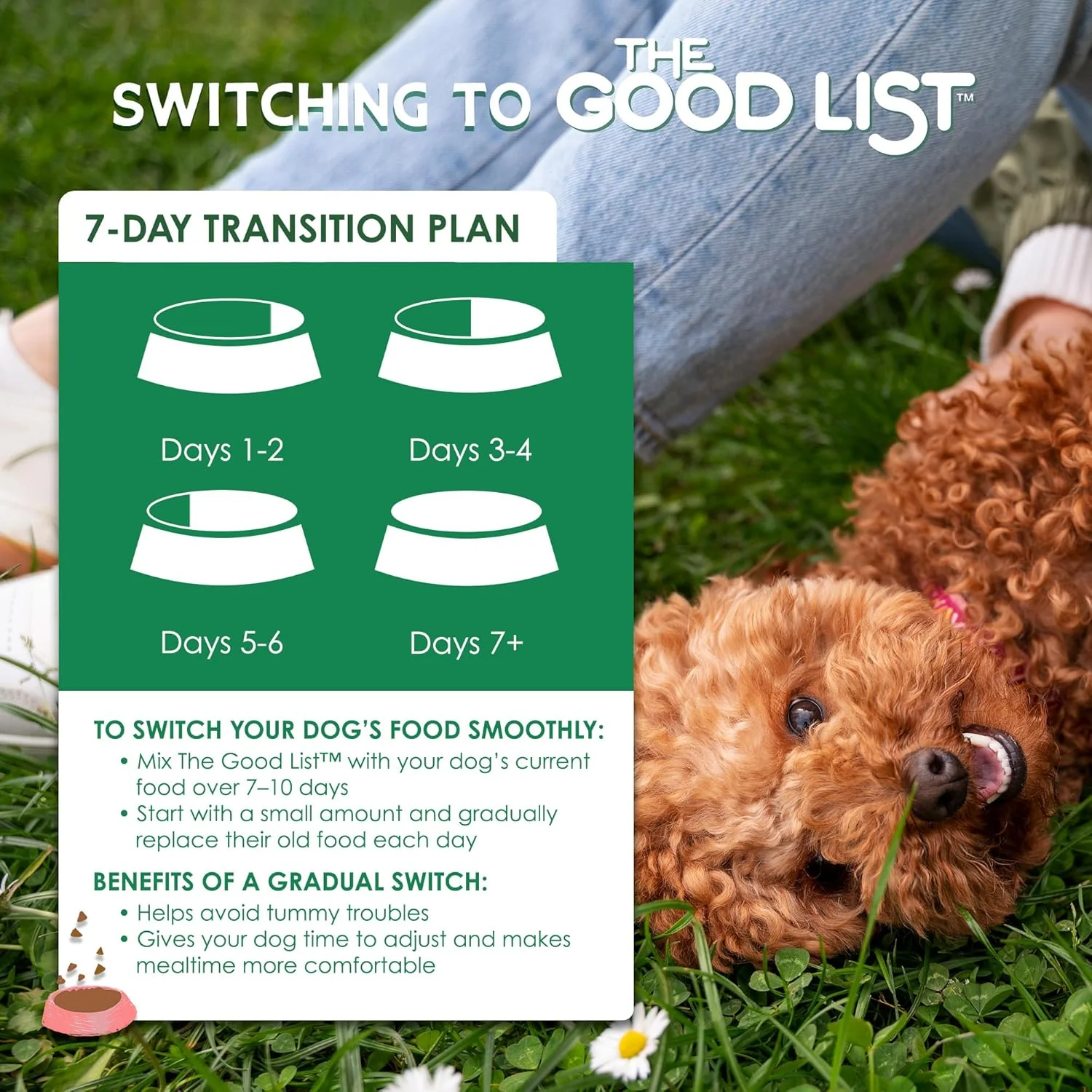 Farmland Traditions The Good List Air-Dried Dog Food, Premium Beef & Bone Broth for Dogs, Protein Rich & Grain-Free Nutrition - Image 7