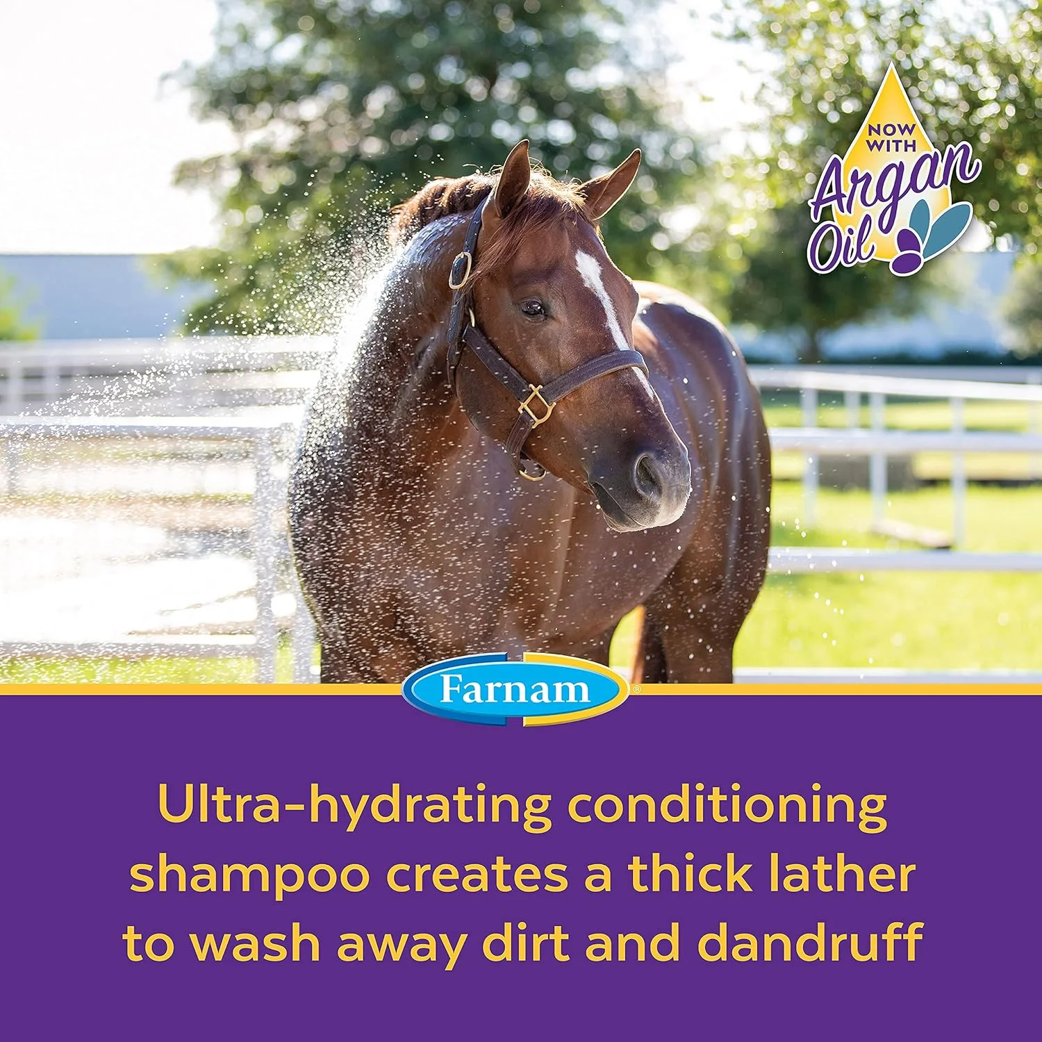 Farnam® Vetrolin® Bath – 32 oz - Image 5