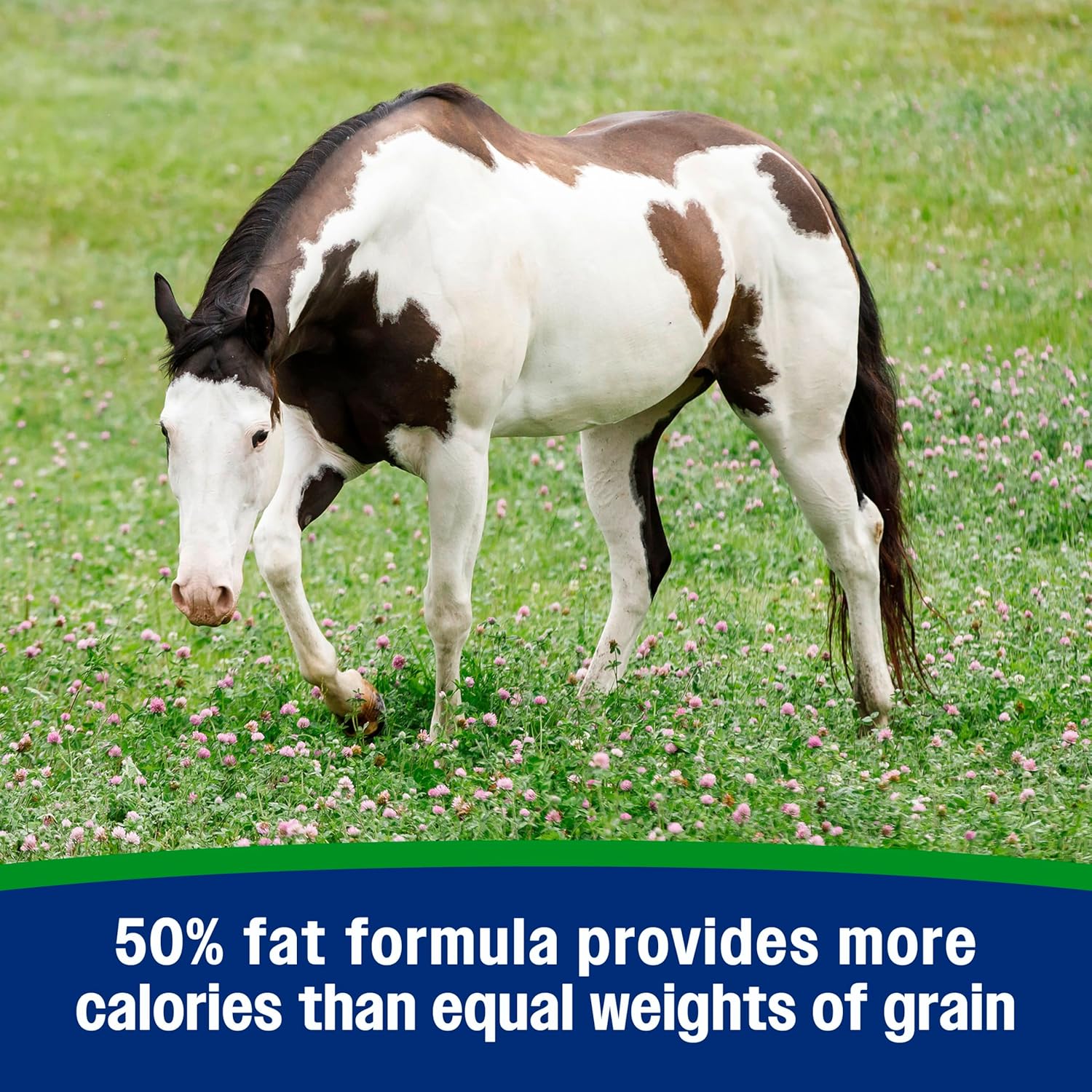 Farnam® Weight Builder – 7.5 lb - Image 4