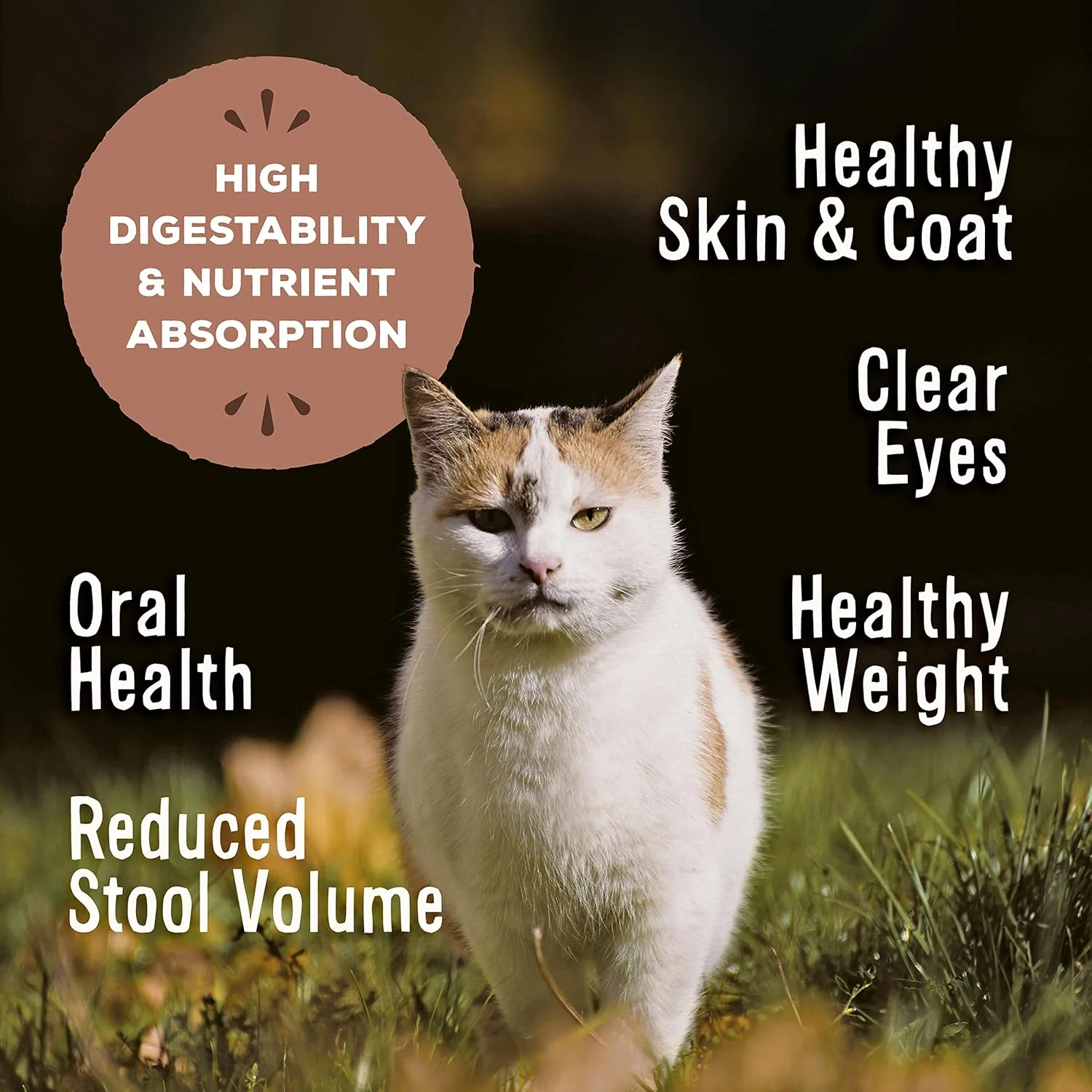 Primal Freeze Dried Raw Cat Food Nuggets Chicken & Salmon, Complete & Balanced Meal or Topper, Premium, Healthy, Grain Free, High Protein Raw Cat Food with Probiotics - Image 3