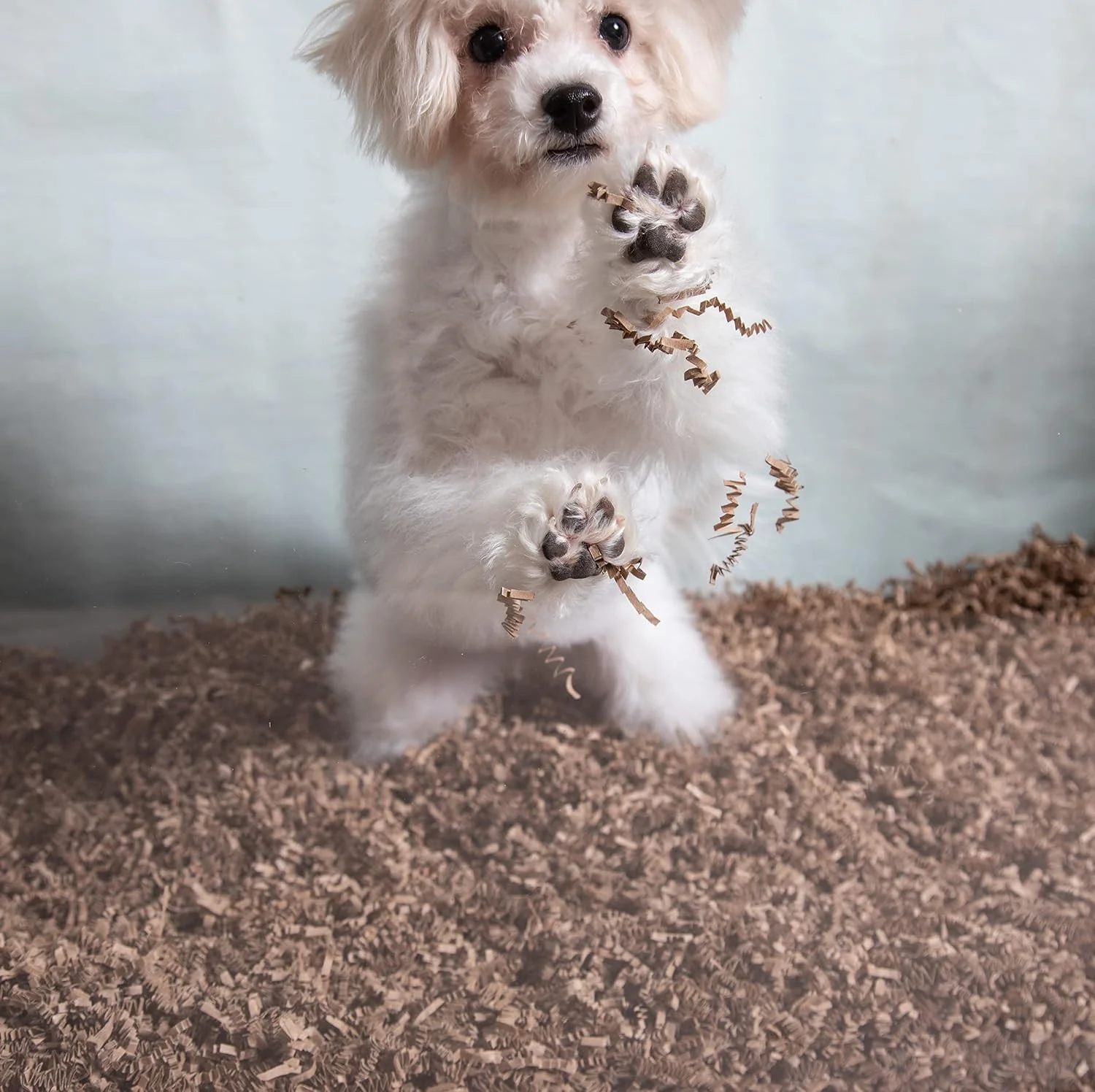 Fibercore ECO BEDDING 99% Dust Free Paper Bedding for Small Pets and Birds, Odor Control - Image 9
