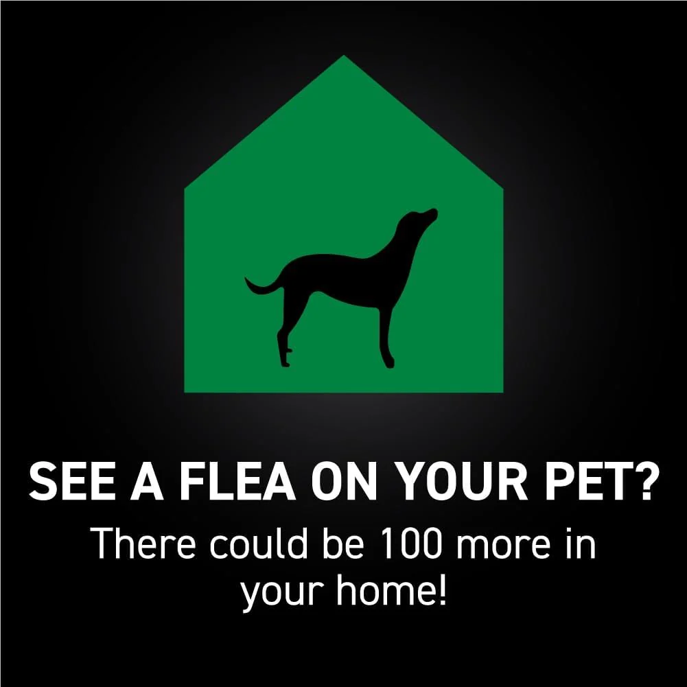 Flea And Tick Prevention For Dogs, Repellent, Treatment, and Control, Fast Acting Waterproof Topical Drops for Small, Medium and Large Dog and Puppies, 3 Monthly Doses - Image 5
