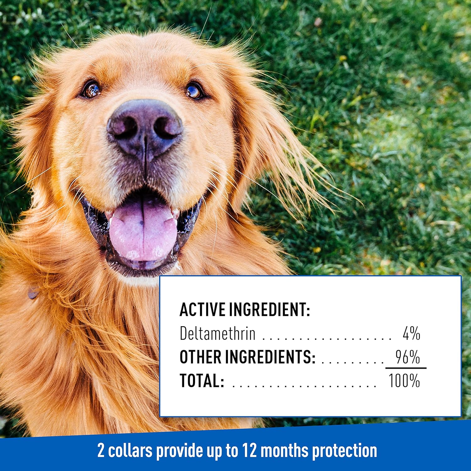 ADAMS Flea & Tick Collar for Dogs & Puppies – 2 Pack - Image 9