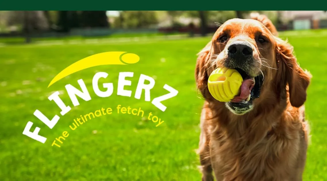 Flingerz Ultimate Fetch Toss & Launch Dog Toy Thrower (Replacement 2 Pack of Balls) - Image 5