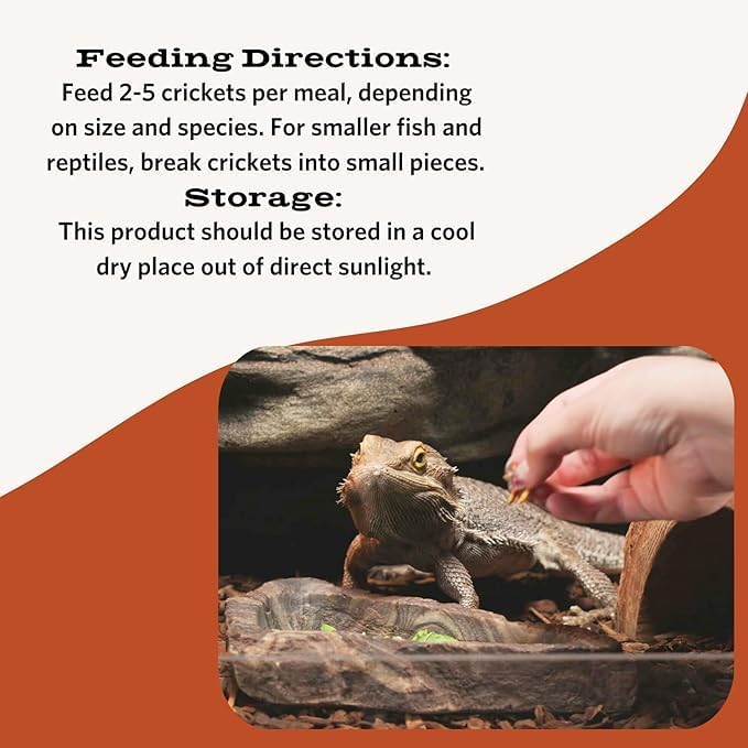 Fluker's Freeze Dried Crickets, Ideal for Reptiles, Birds, and Fish, Packed with Protein and Essential Nutrients, 1.2 oz - Image 5