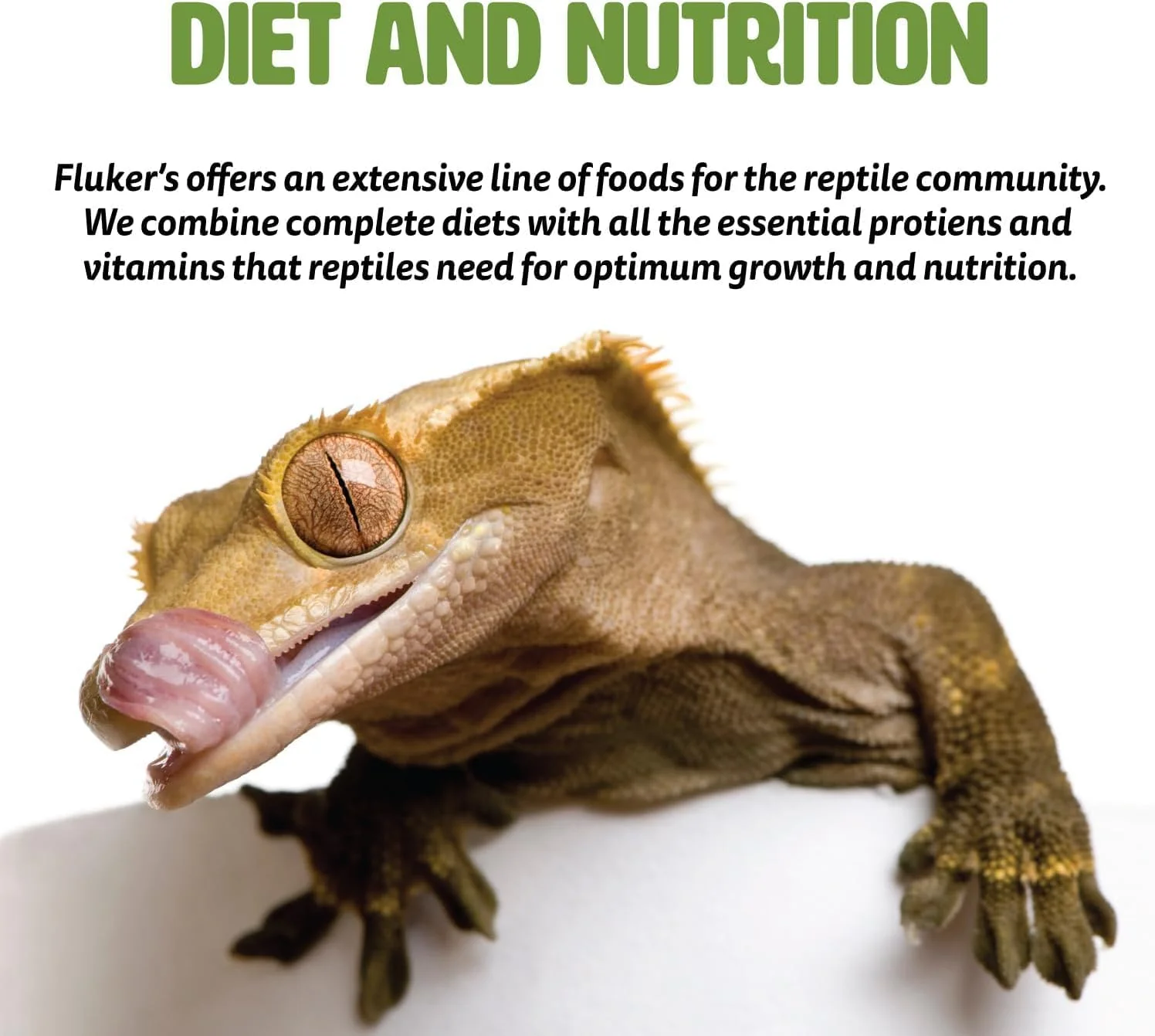 Fluker's Grub Bag Calcium Fortified Tortoise Treats, All Natural Herbivore Blend Fruits and Vegetables, for Tortoise and Herbivore Pets, 4 oz - Image 8