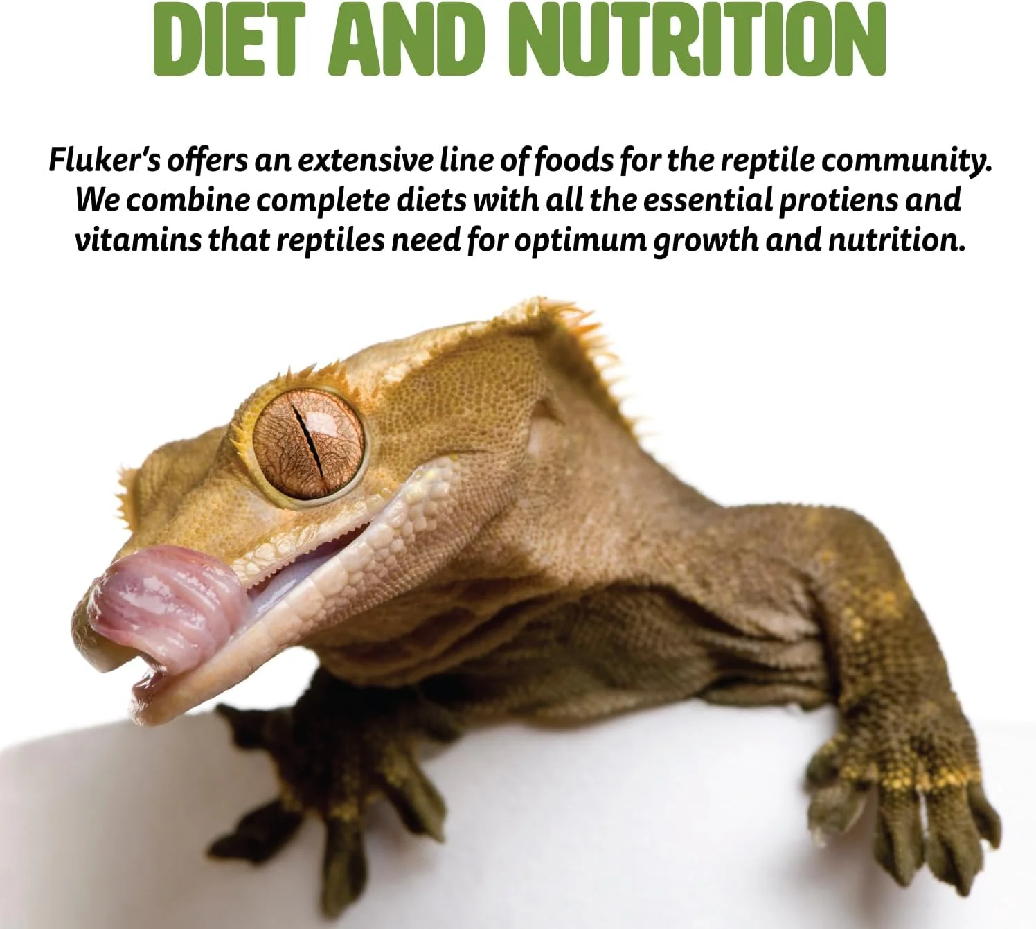 Fluker's High Calcium Mealworm Diet, Can Be Used as a Gut-Loading Food or Bedding - Image 5