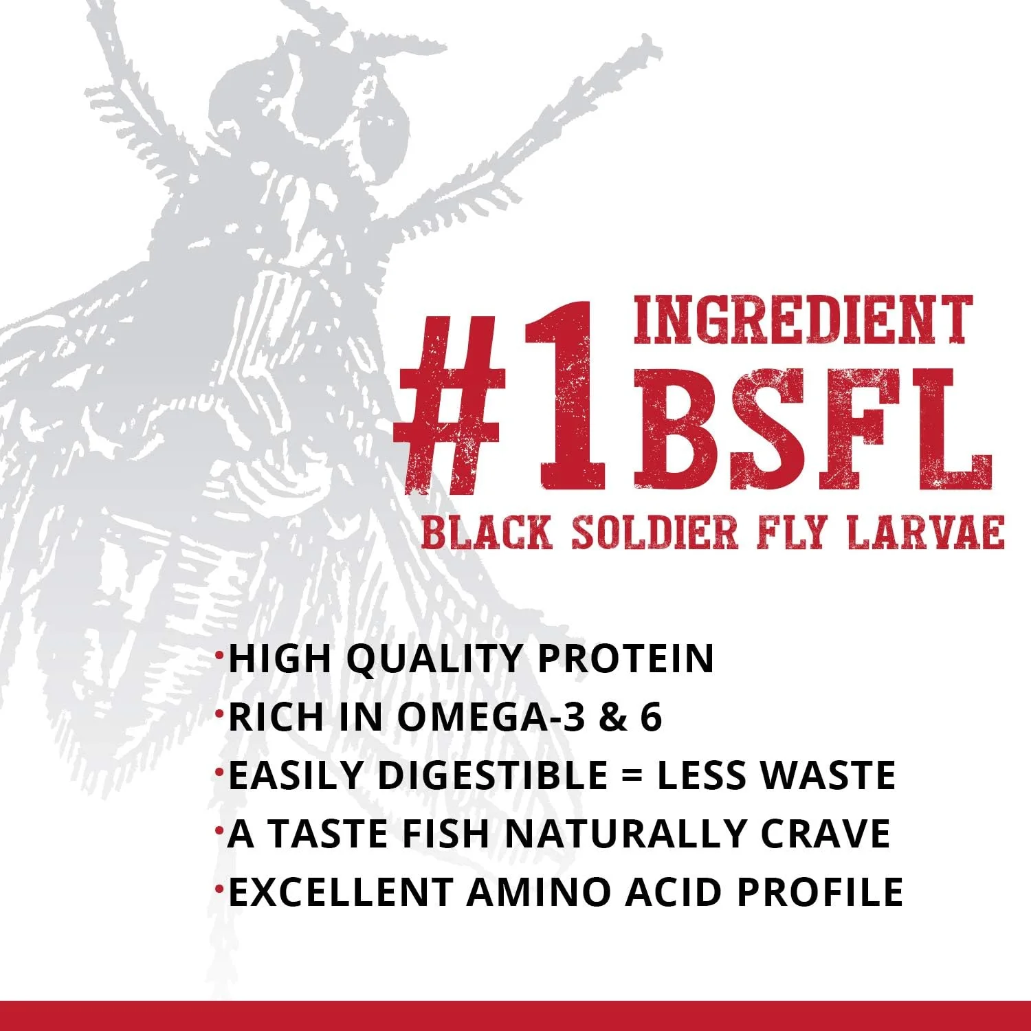 Fluval Bug Bites Cichlid Fish Food, Pellets for Medium to Large Sized Fish, 3.74 lb. - Image 4