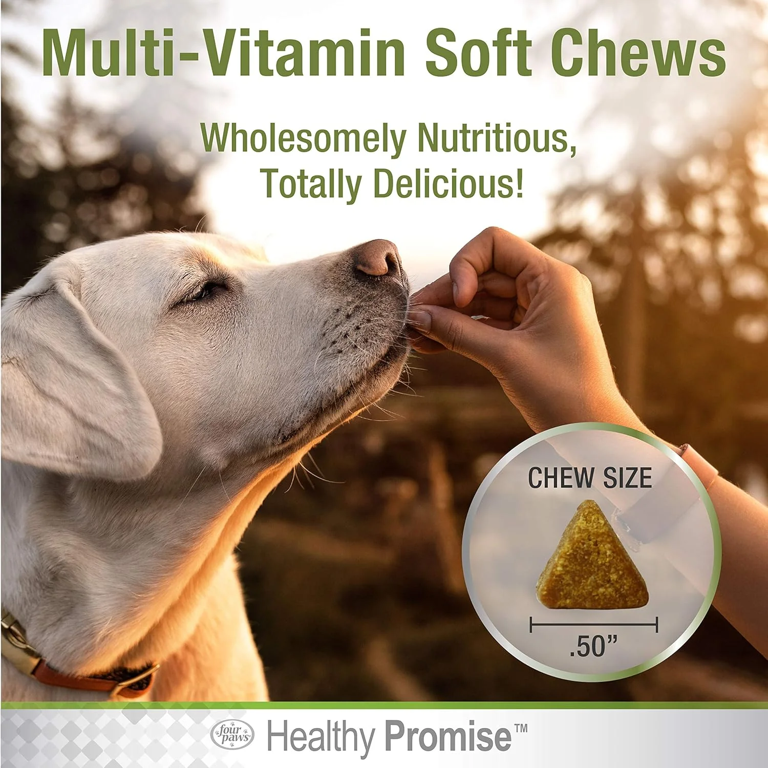 Four Paws Healthy Promise Dog Multivitamin Soft Chews - Image 3