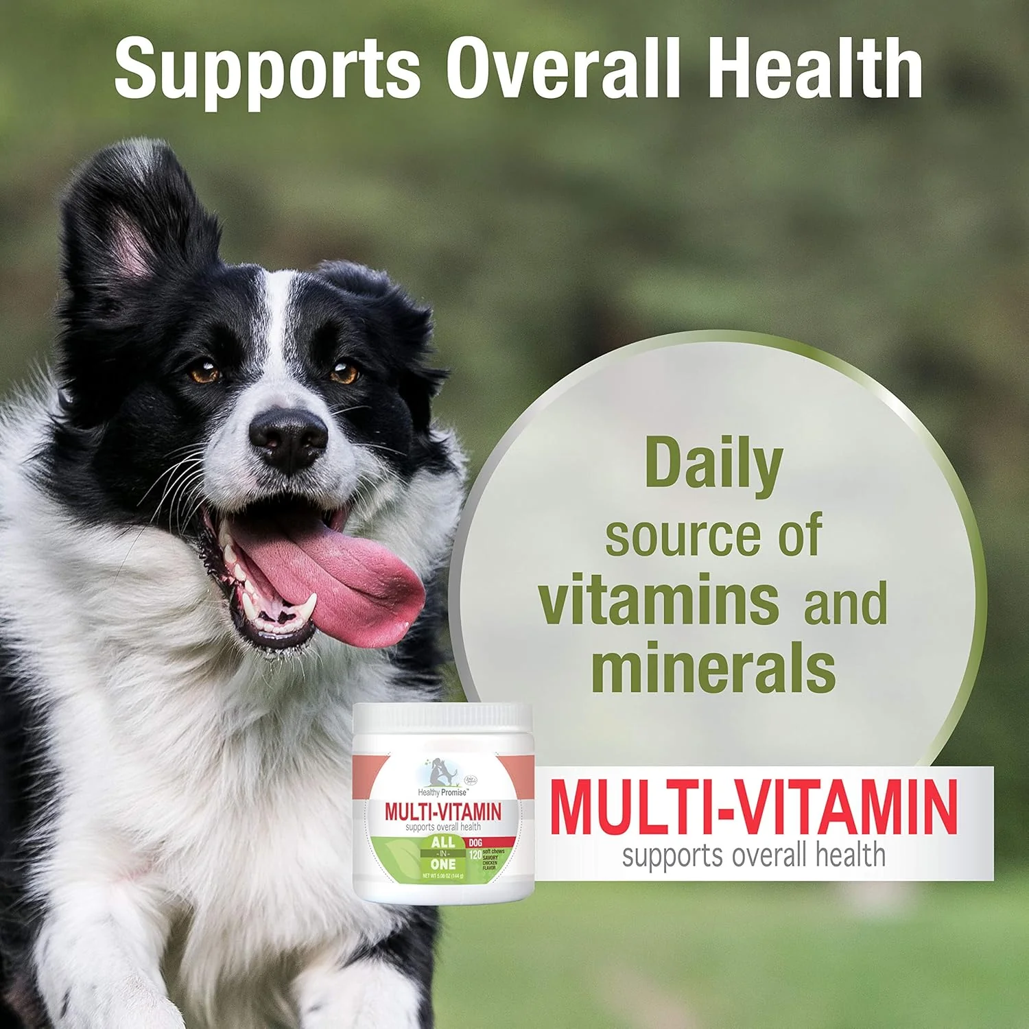 Four Paws Healthy Promise Dog Multivitamin Soft Chews - Image 4