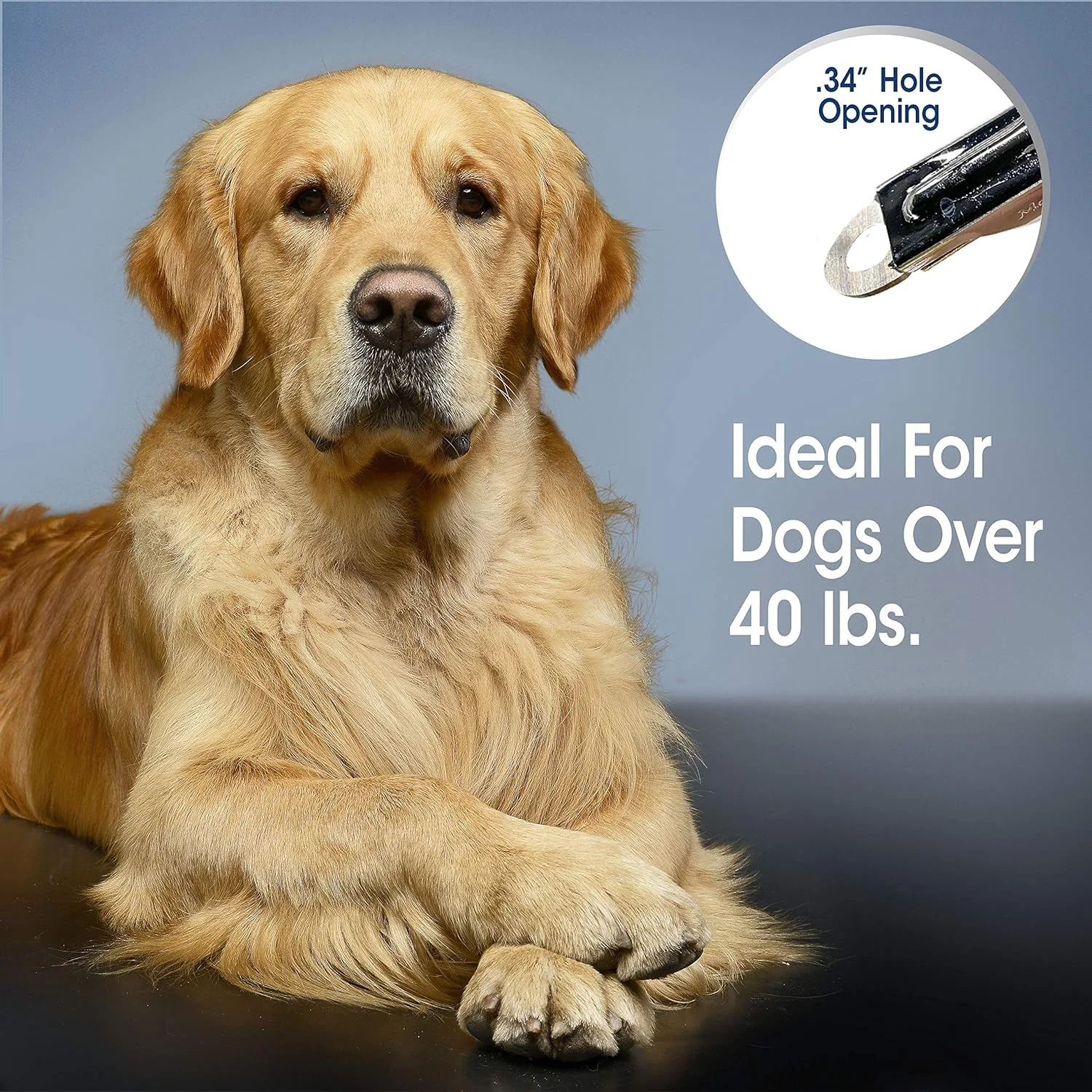 Four Paws Magic Coat Professional Series Nail Trimmer for Dogs - Image 3