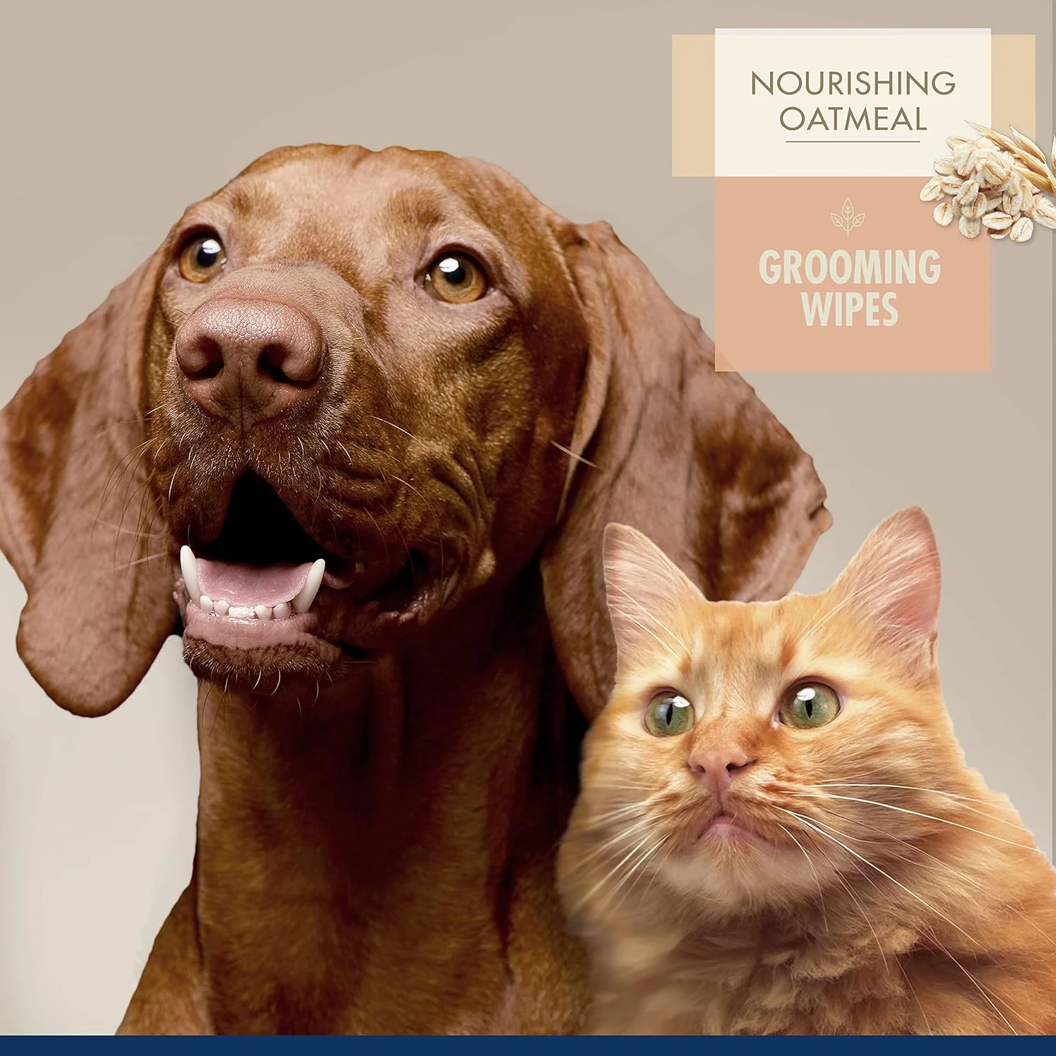 Four Paws Magic Coat Professional Series Nourishing Oatmeal Cat and Dog Grooming Wipes - Fresh Peach Scent - Image 2