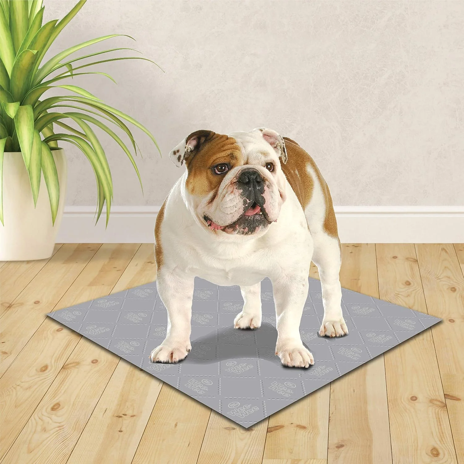 Four Paws Wee-Wee Premium Patch Reusable Pee Pad for Dogs - Image 5