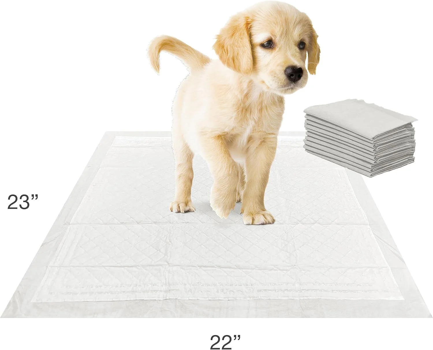 Four Paws Wee-Wee Super Absorbent Unscented Pee Pads for Dogs & Puppies with Insta-Rise Border, Leak-Proof Dog Housebreaking Potty Training Floor Protection - Image 7