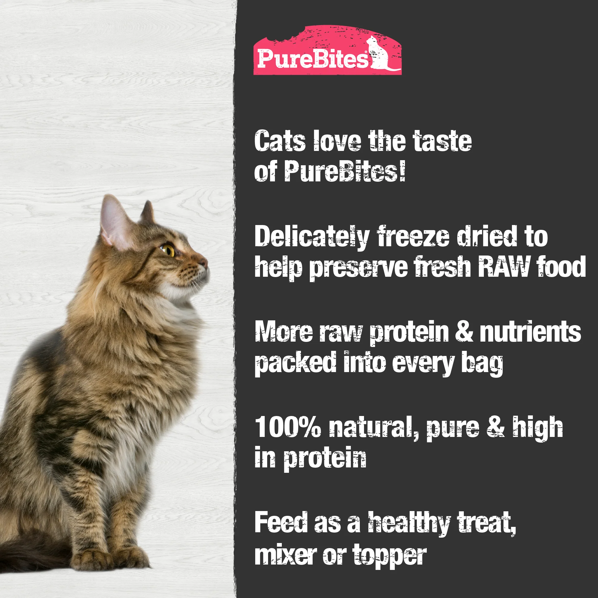 Freeze Dried Cat Treats, Shrimp - Image 5