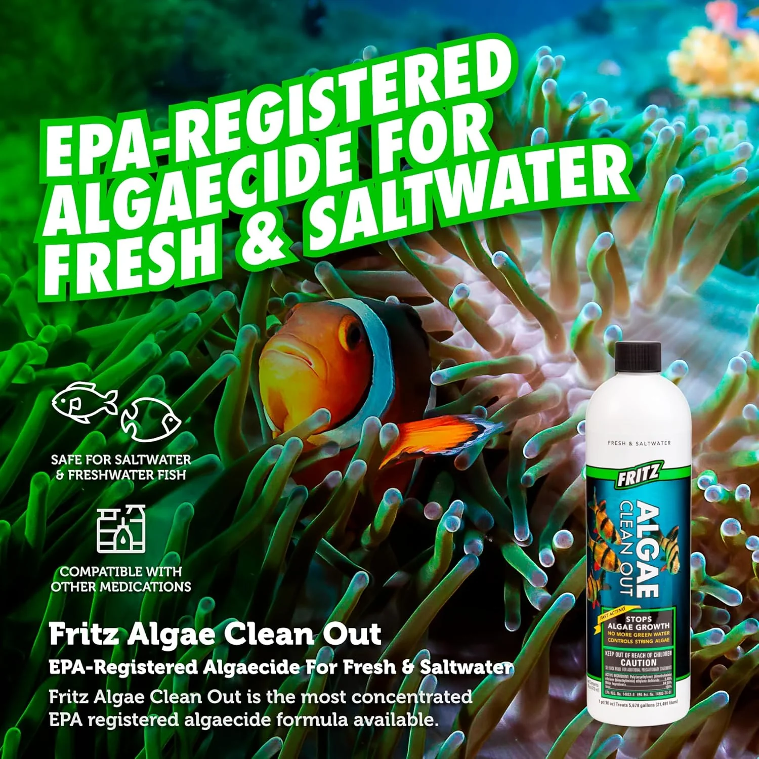 Fritz Aquatics Algae Clean Out - Algaecide for Fresh and Salt Water Aquariums - Image 3