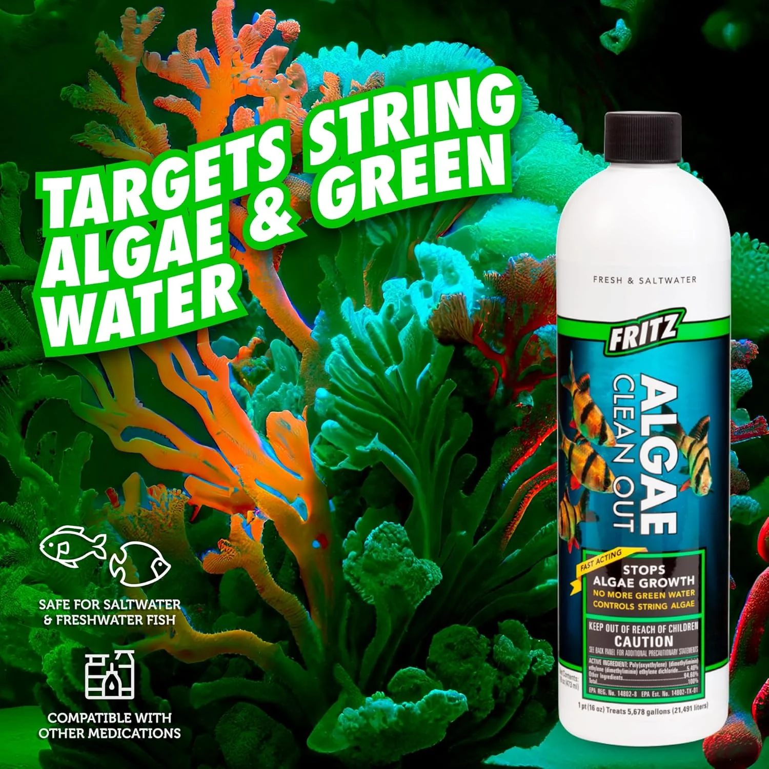 Fritz Aquatics Algae Clean Out - Algaecide for Fresh and Salt Water Aquariums - Image 4