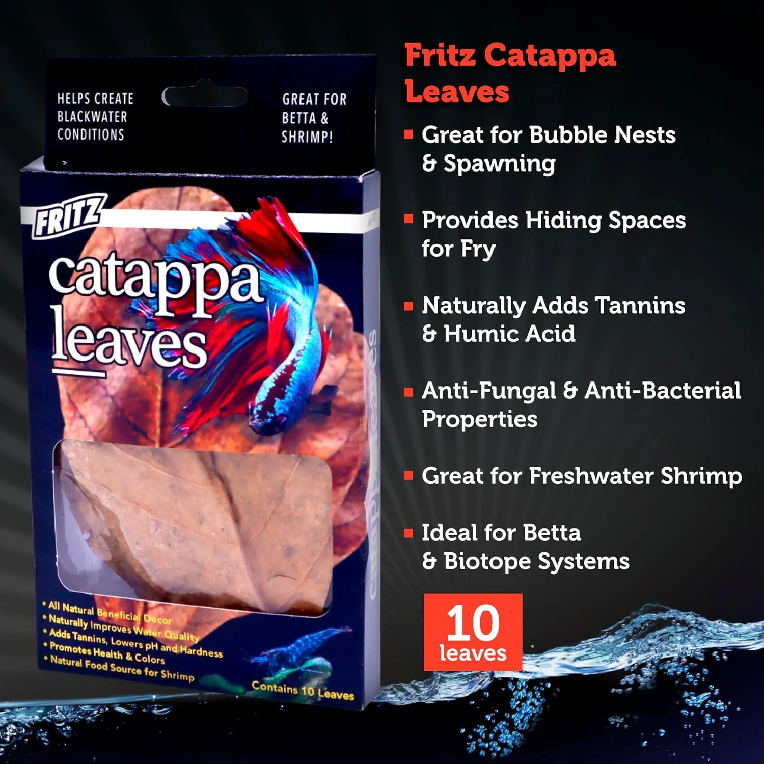 Fritz Catappa Leaves - Image 2