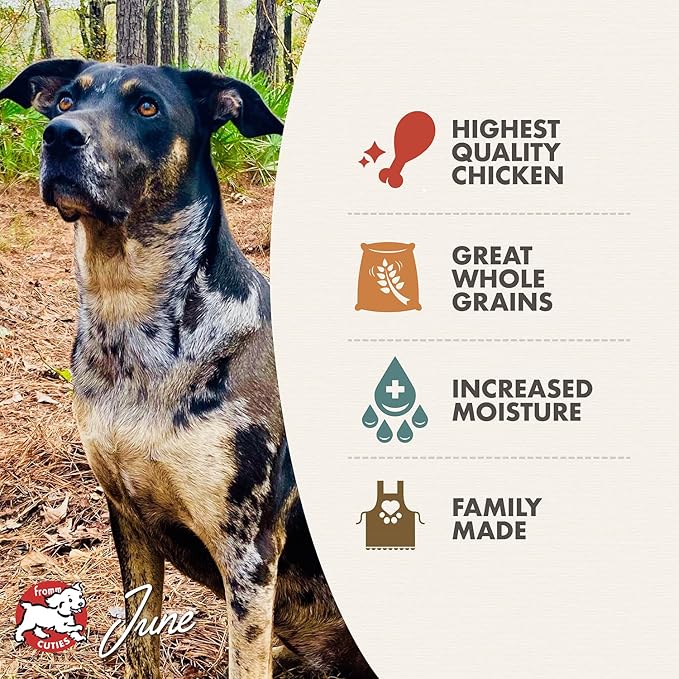 Fromm Chicken & Rice Pate Dog Food - Premium Wet Dog Food - Chicken Recipe - Case of 12 Cans - Image 4