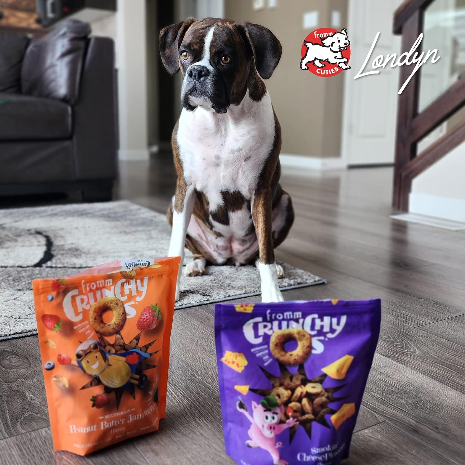 Fromm Crunchy Os Smokin' CheesePlosions Dog Treats - Premium Crunchy Dog Treats - Pork Recipe. - Image 7