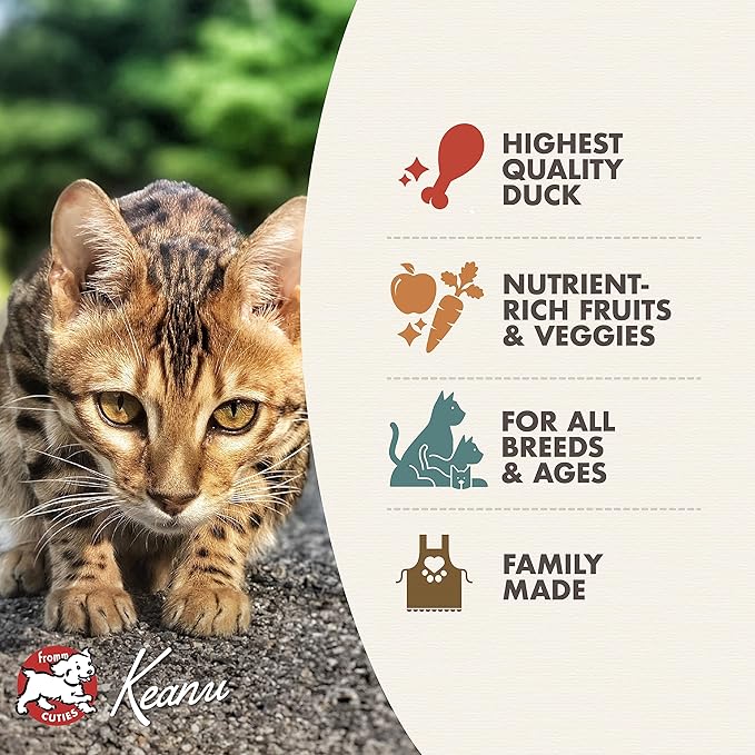 Fromm Four-Star Nutritionals Hasen Duckenpfeffer Cat Food - Premium Dry Cat Food - Rabbit Recipe - 4 lb - Image 3