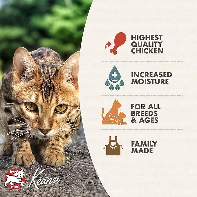 Fromm Perfectly Pâté Chicken Pate Cat Food - Premium Wet Cat Food - Chicken Recipe - Case of (12) 5.5 oz Cans - Image 4