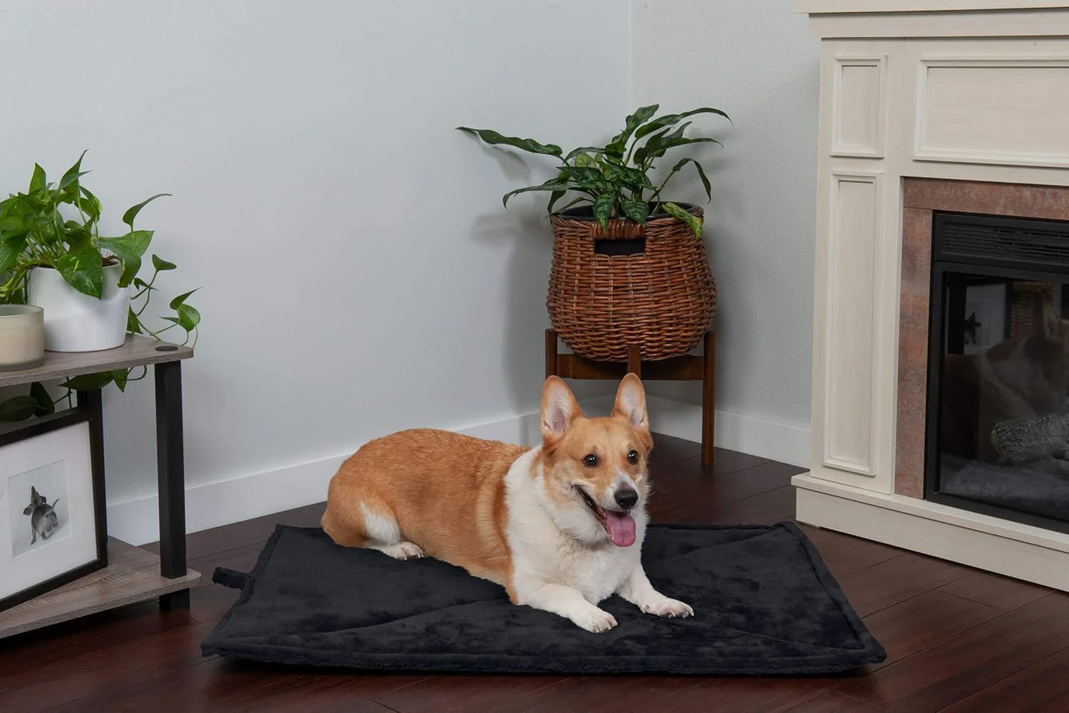 Furhaven ThermaNAP Self-Warming Cat Bed for Indoor Cats & Small Dogs, Washable & Reflects Body Heat - Quilted Faux Fur Reflective Bed Mat, Small - Image 5