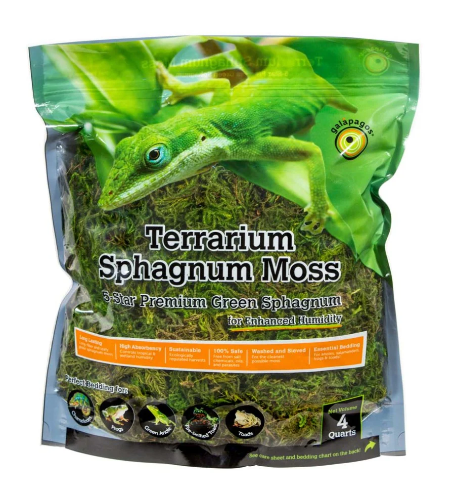Galápagos (05213) Terrarium Green Sphagnum Moss, Natural - Image 8