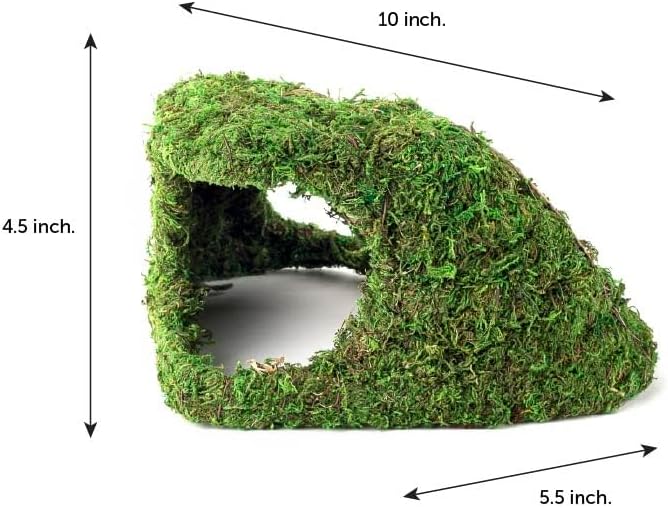 Galápagos Mossy Sapa Corner Hide - The Perfect Reptile Hide for Security and Comfort - A Natural and Secure Hide for Reptiles, Amphibians, and Invertebrates, L10” x W5.5” x H4.5” - Image 2