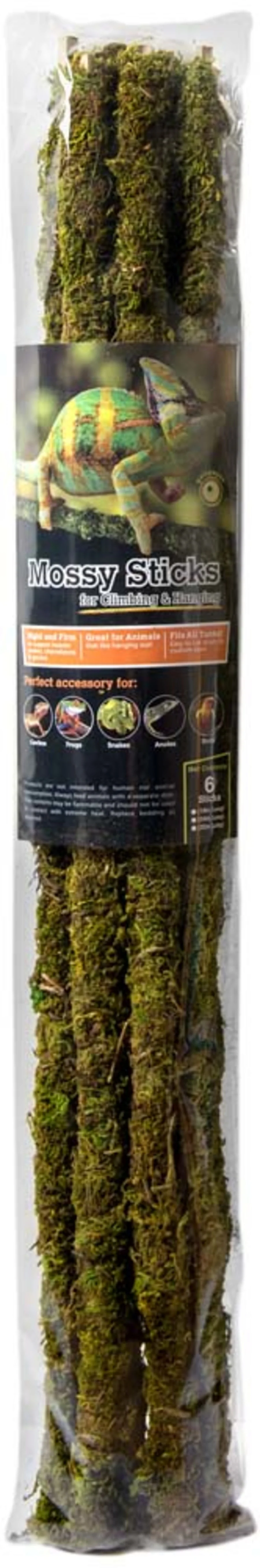 Galápagos Mossy Terrarium Sticks - Image 5
