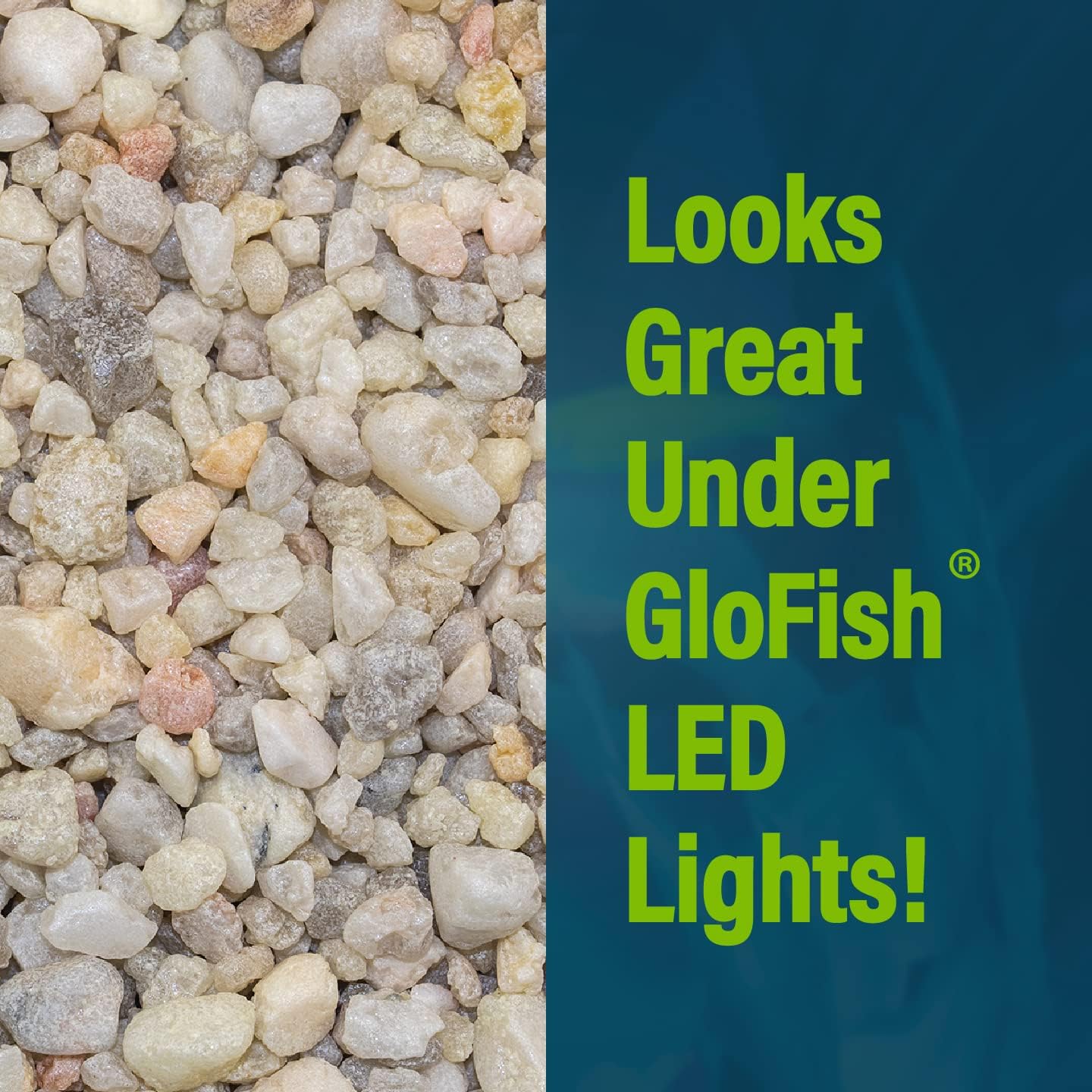 GloFish Aquarium Gravel 5 Pounds, Pearlescent, Complements Tanks and Décor (AQ-78484) - Image 3
