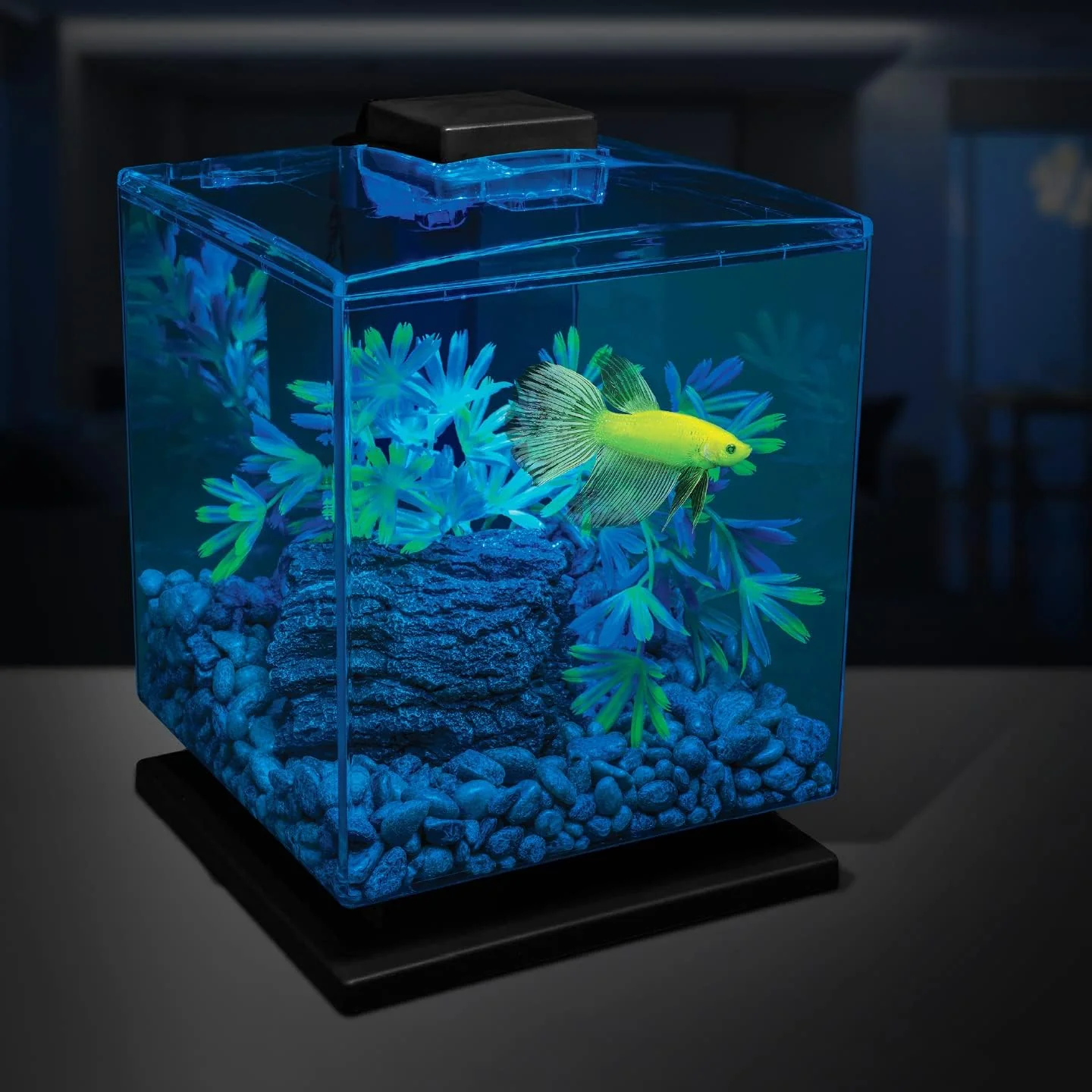 GloFish Aquarium Gravel 5 Pounds, Pearlescent, Complements Tanks and Décor (AQ-78484) - Image 4